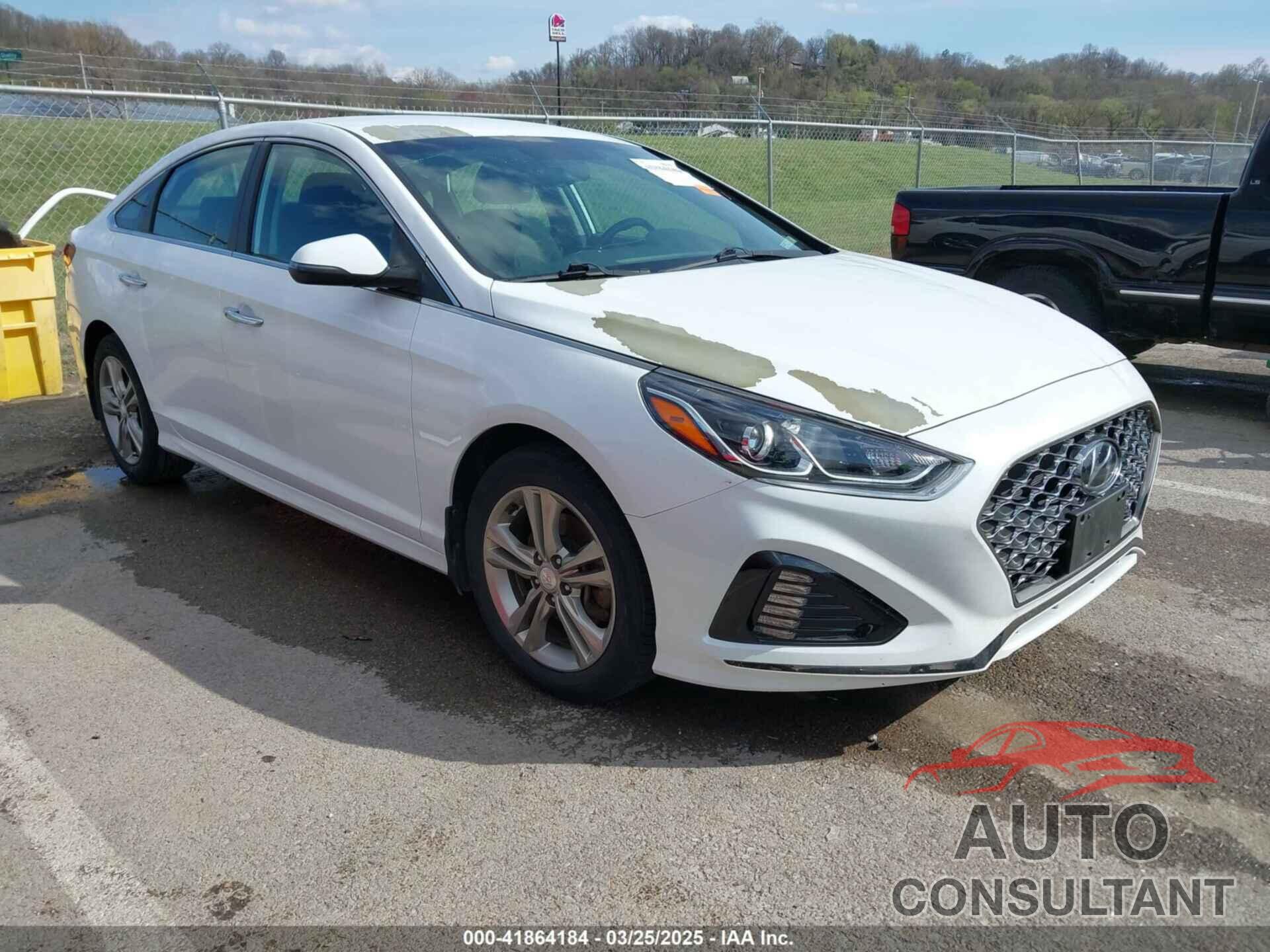 HYUNDAI SONATA 2019 - 5NPE34AF8KH811011