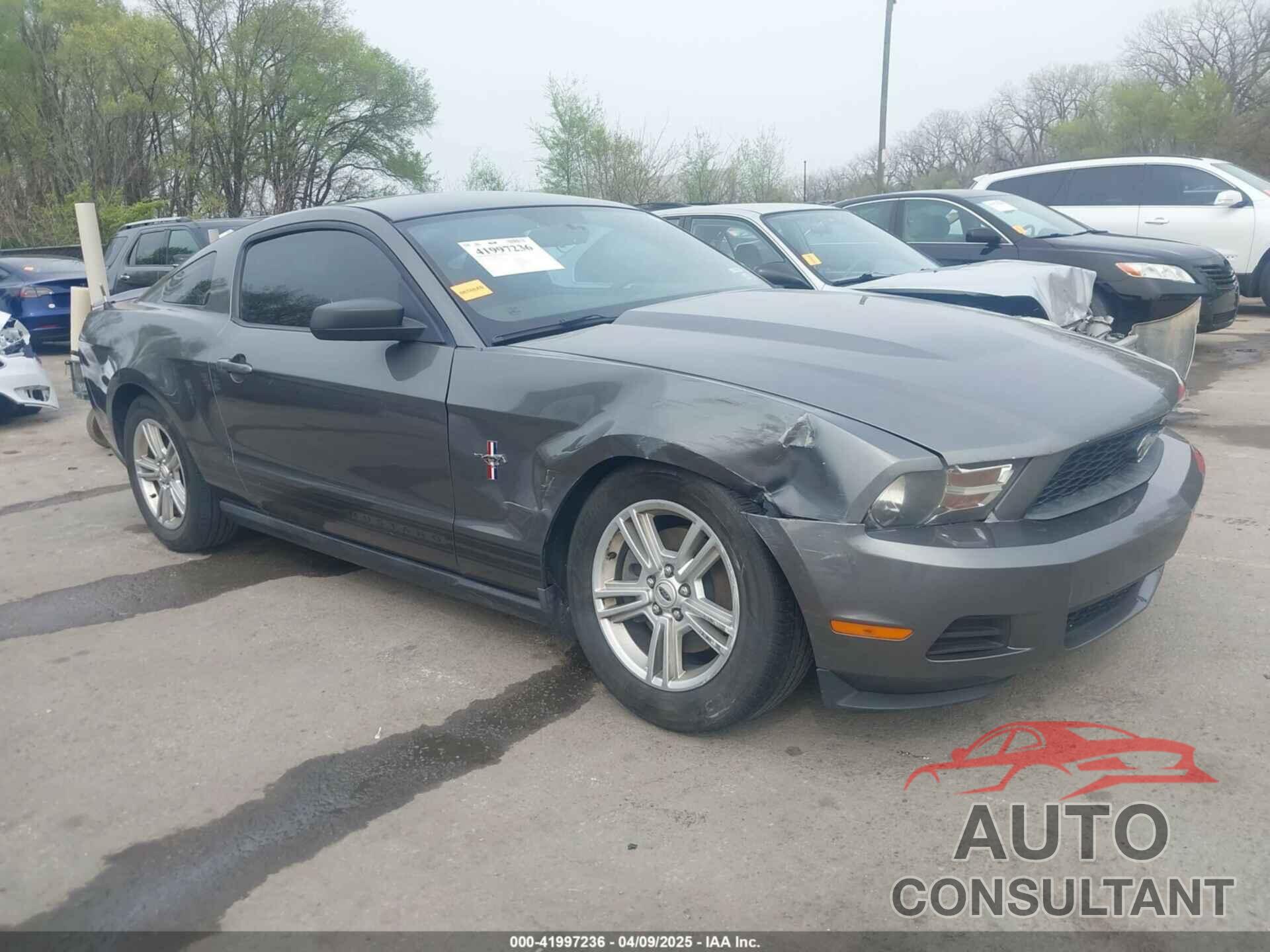 FORD MUSTANG 2011 - 1ZVBP8AM6B5135684