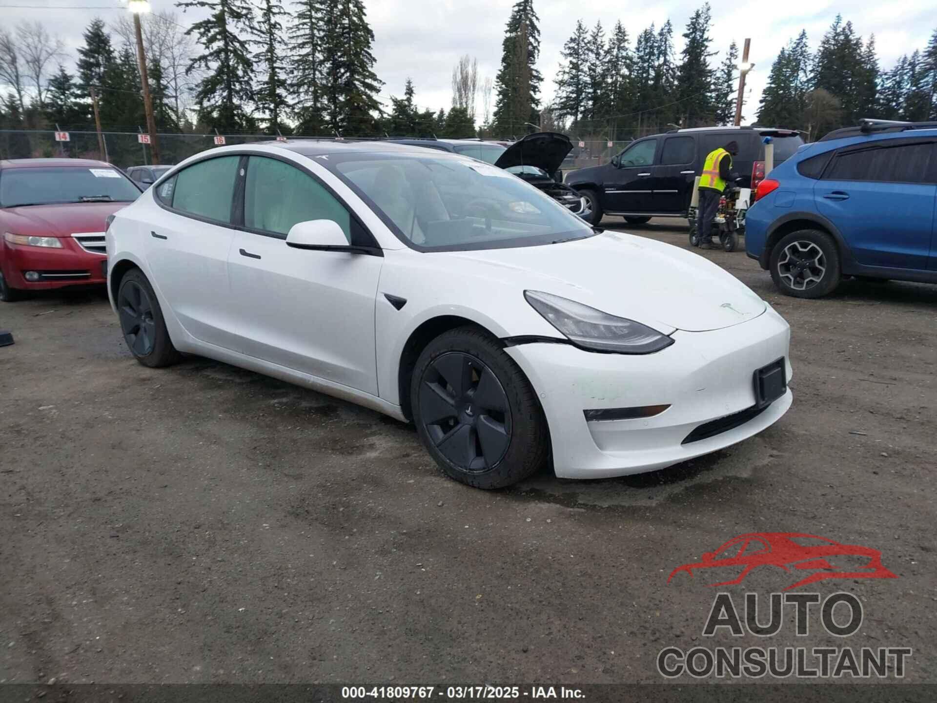 TESLA MODEL 3 2021 - 5YJ3E1EB3MF856009