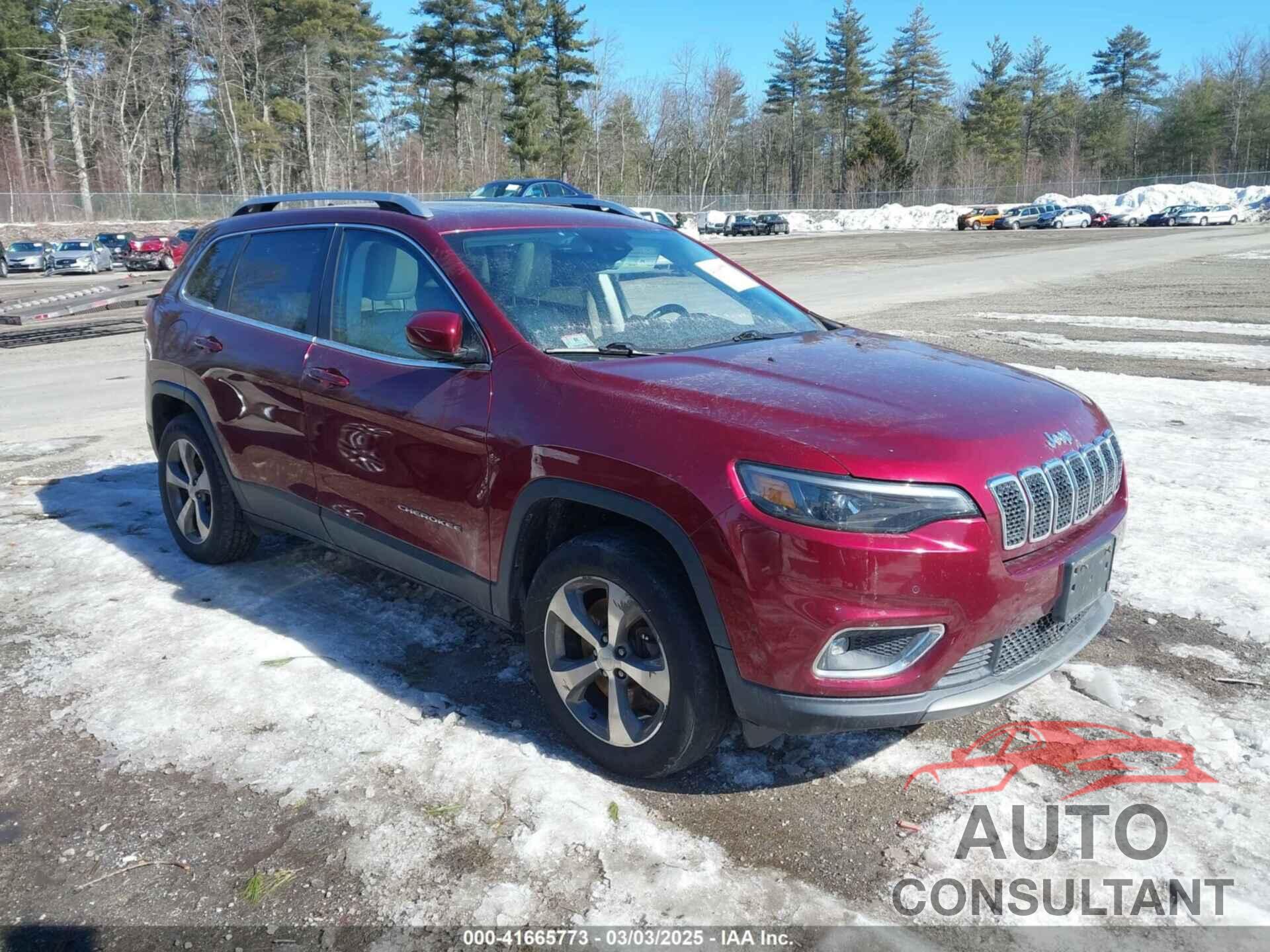 JEEP CHEROKEE 2019 - 1C4PJMDX5KD120981