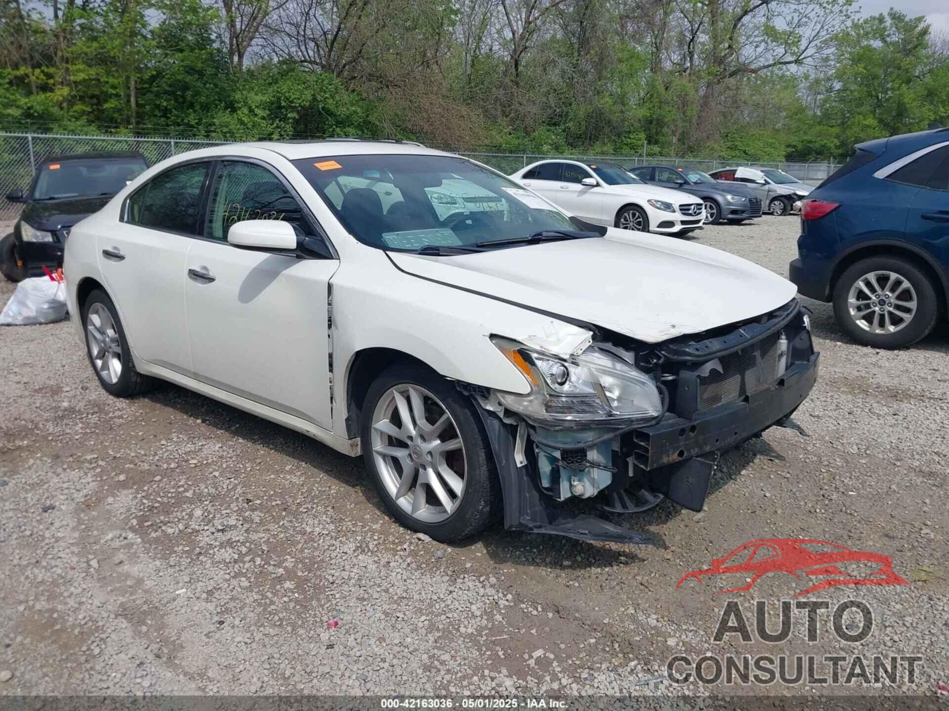 NISSAN MAXIMA 2011 - 1N4AA5AP8BC828573