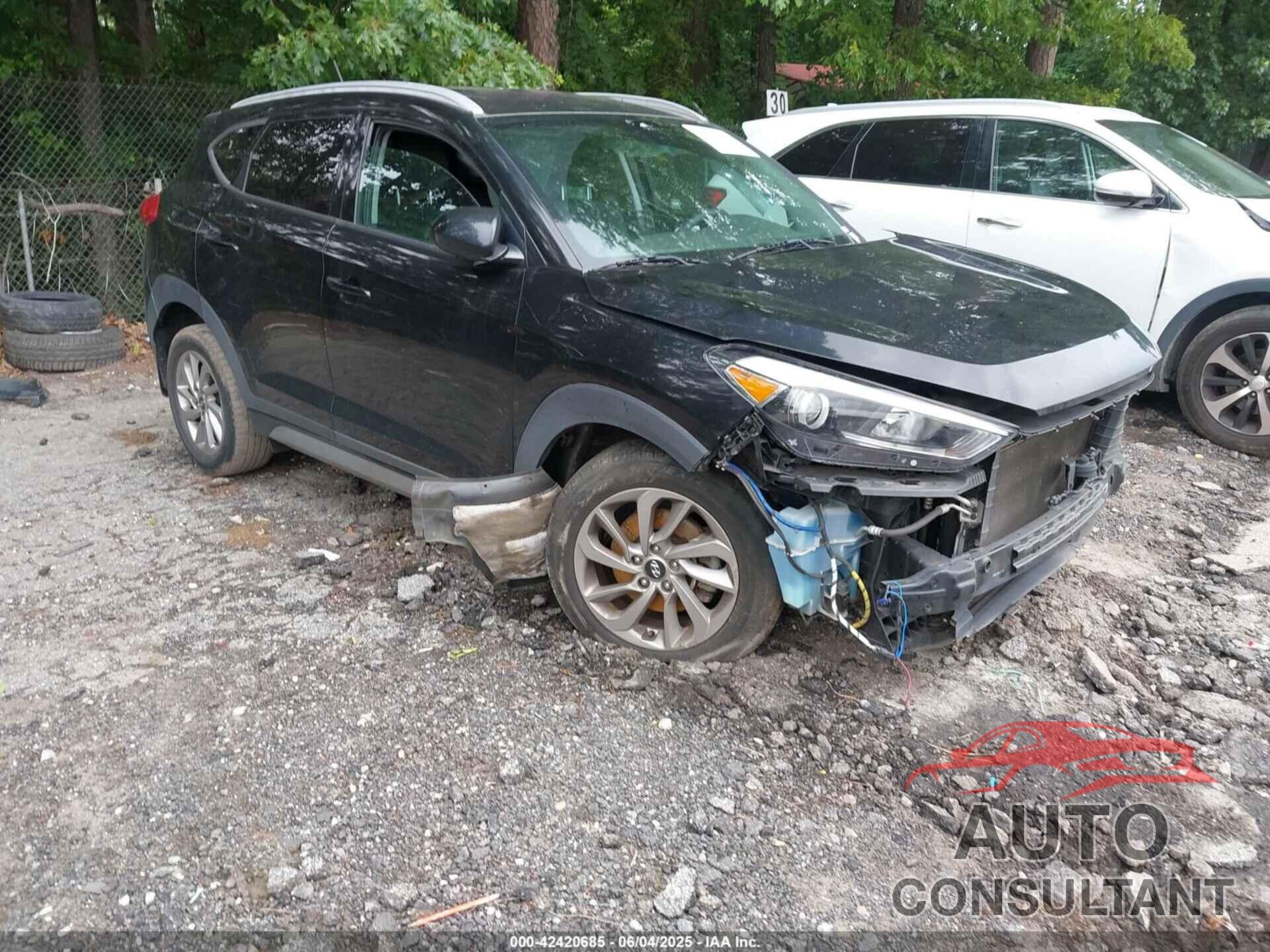 HYUNDAI TUCSON 2017 - KM8J33A46HU337478