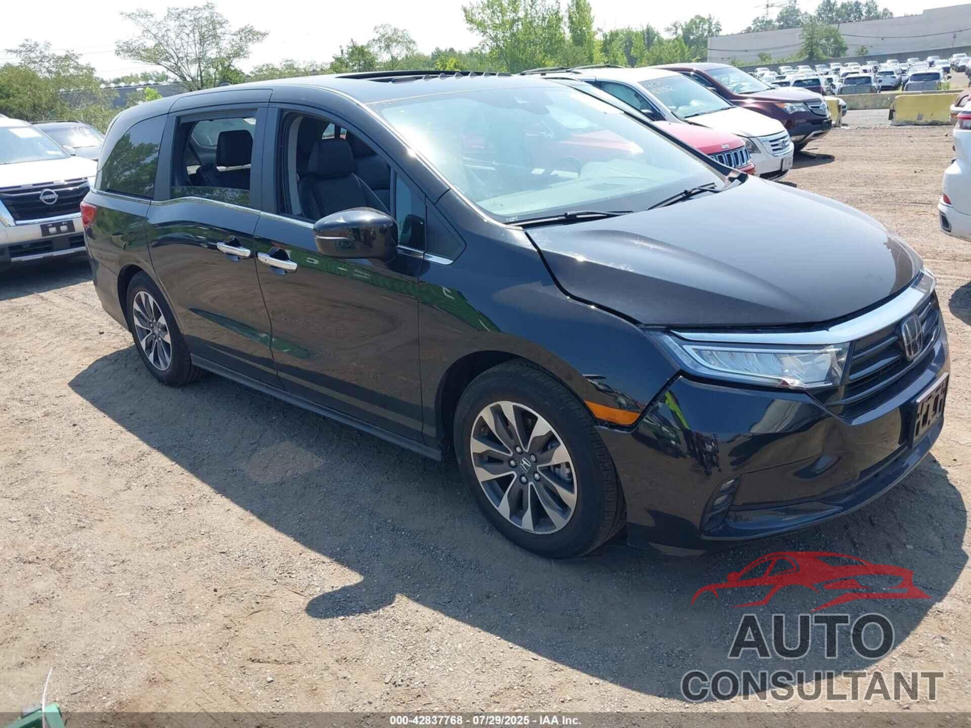 HONDA ODYSSEY 2024 - 5FNRL6H66RB072426