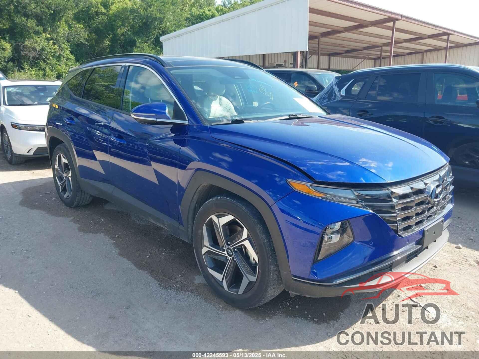 HYUNDAI TUCSON 2024 - 5NMJE3DE0RH345703