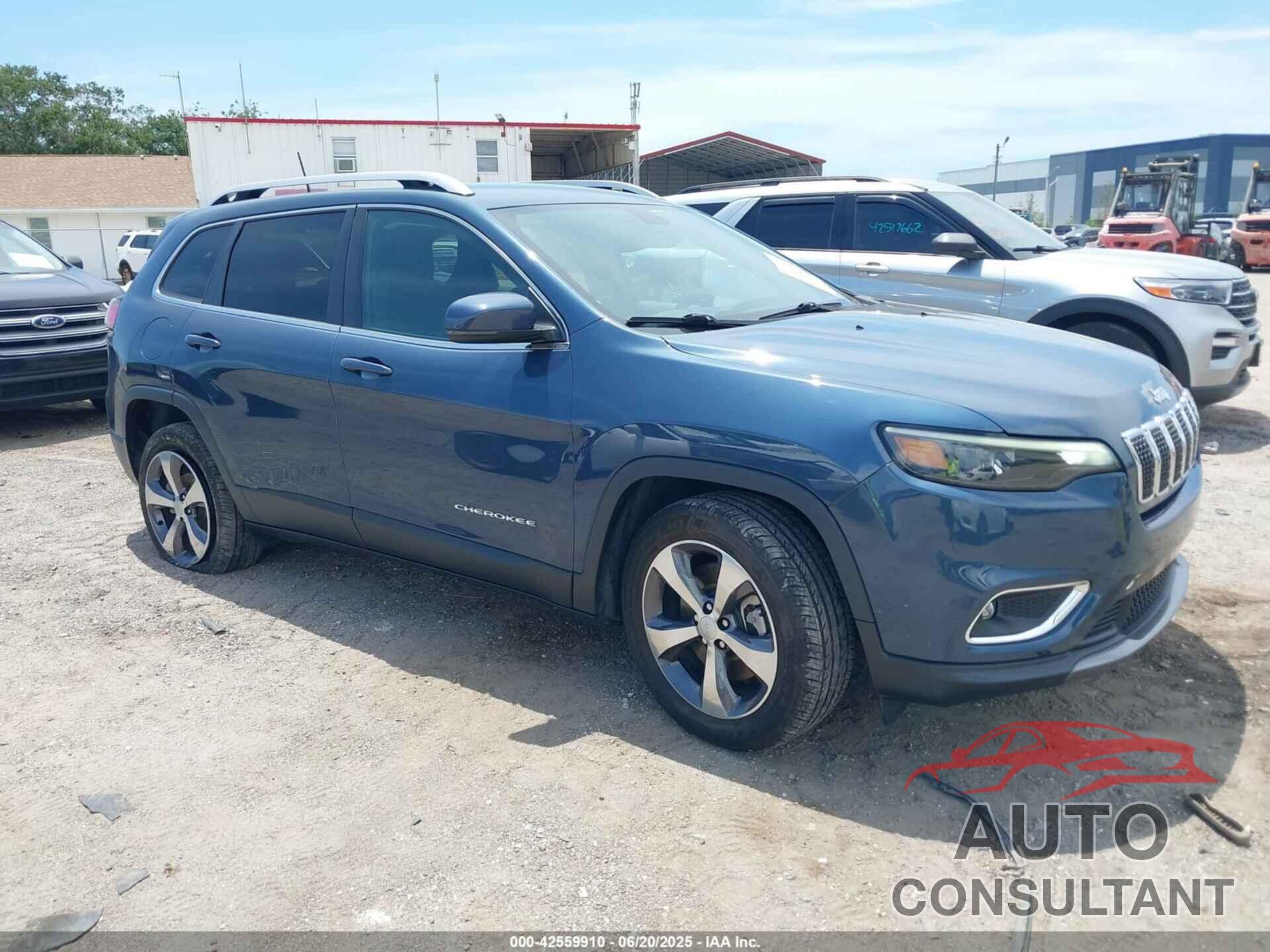 JEEP CHEROKEE 2019 - 1C4PJLDB9KD454574