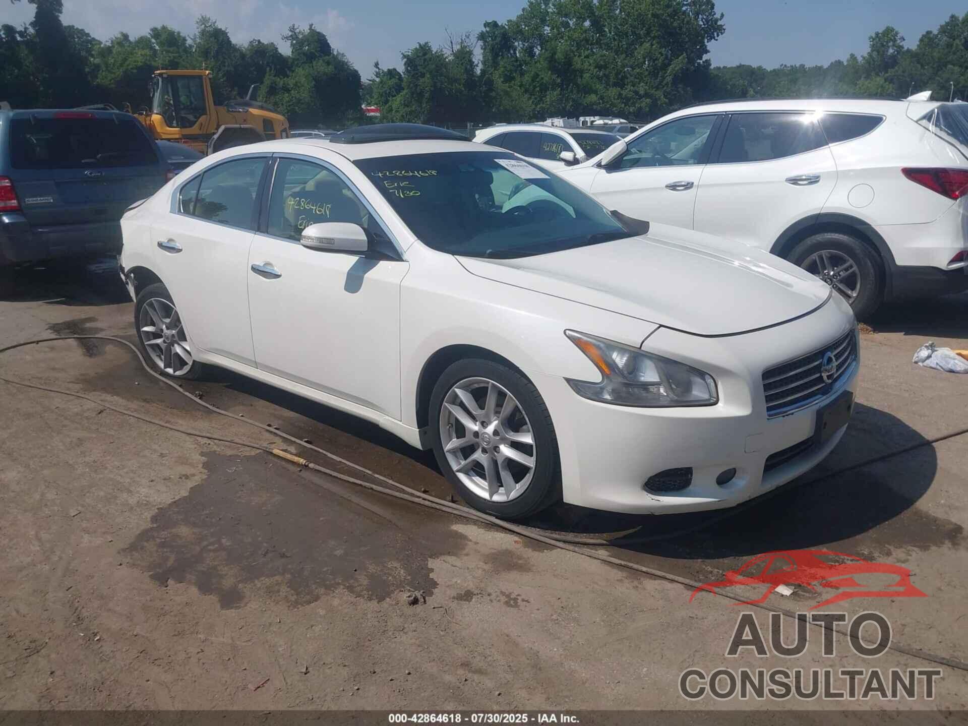 NISSAN MAXIMA 2010 - 1N4AA5AP4AC805189