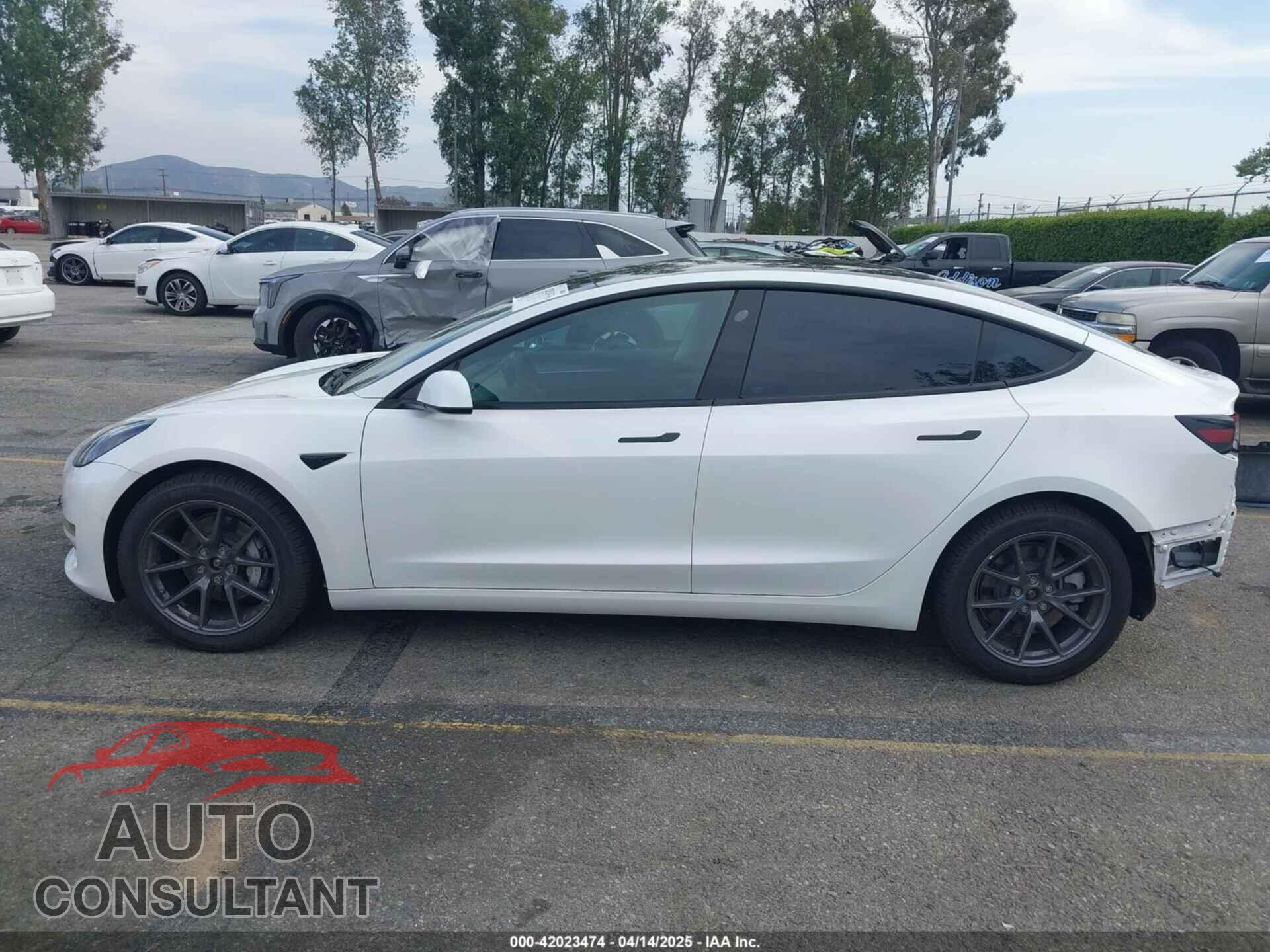 TESLA MODEL 3 2021 - 5YJ3E1EB7MF089524