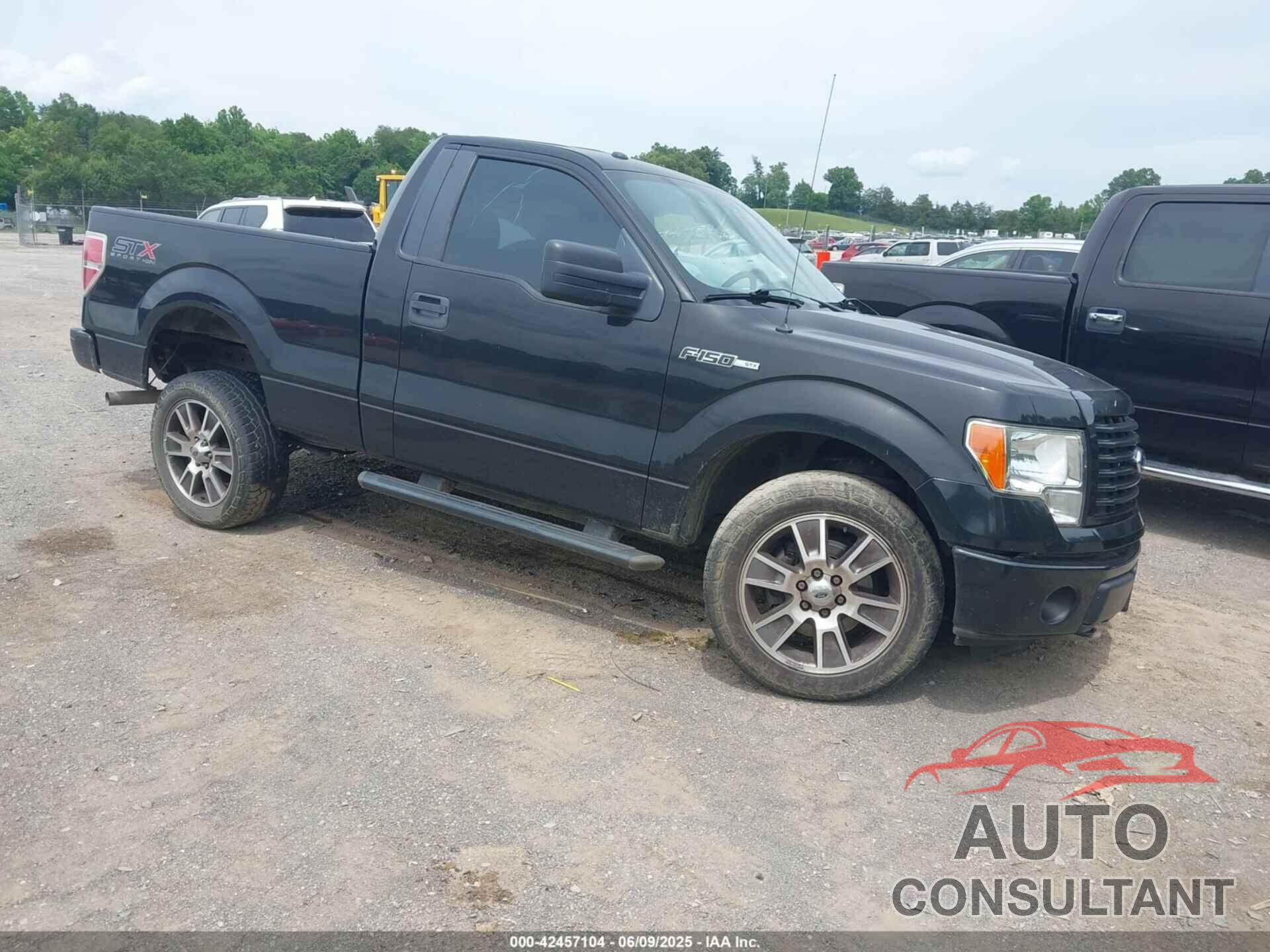 FORD F-150 2014 - 1FTMF1EF6EFB43171