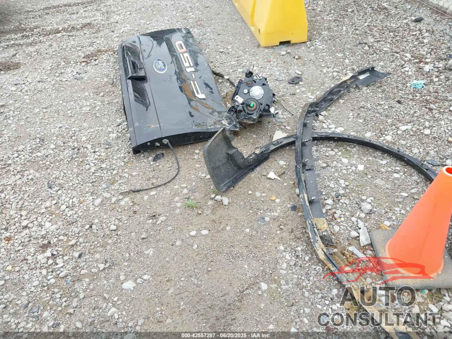 FORD F-150 2020 - 1FTFW1E45LFB49144