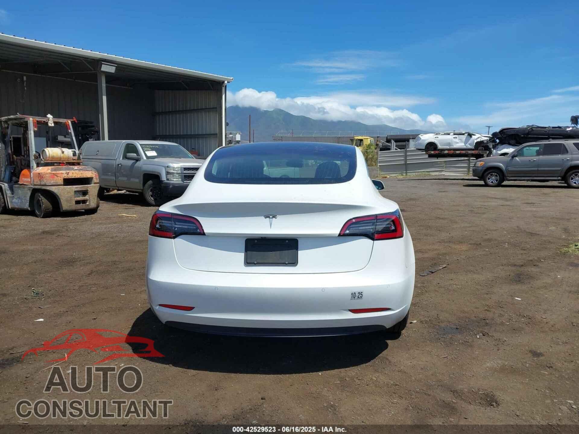 TESLA MODEL 3 2019 - 5YJ3E1EA3KF401407