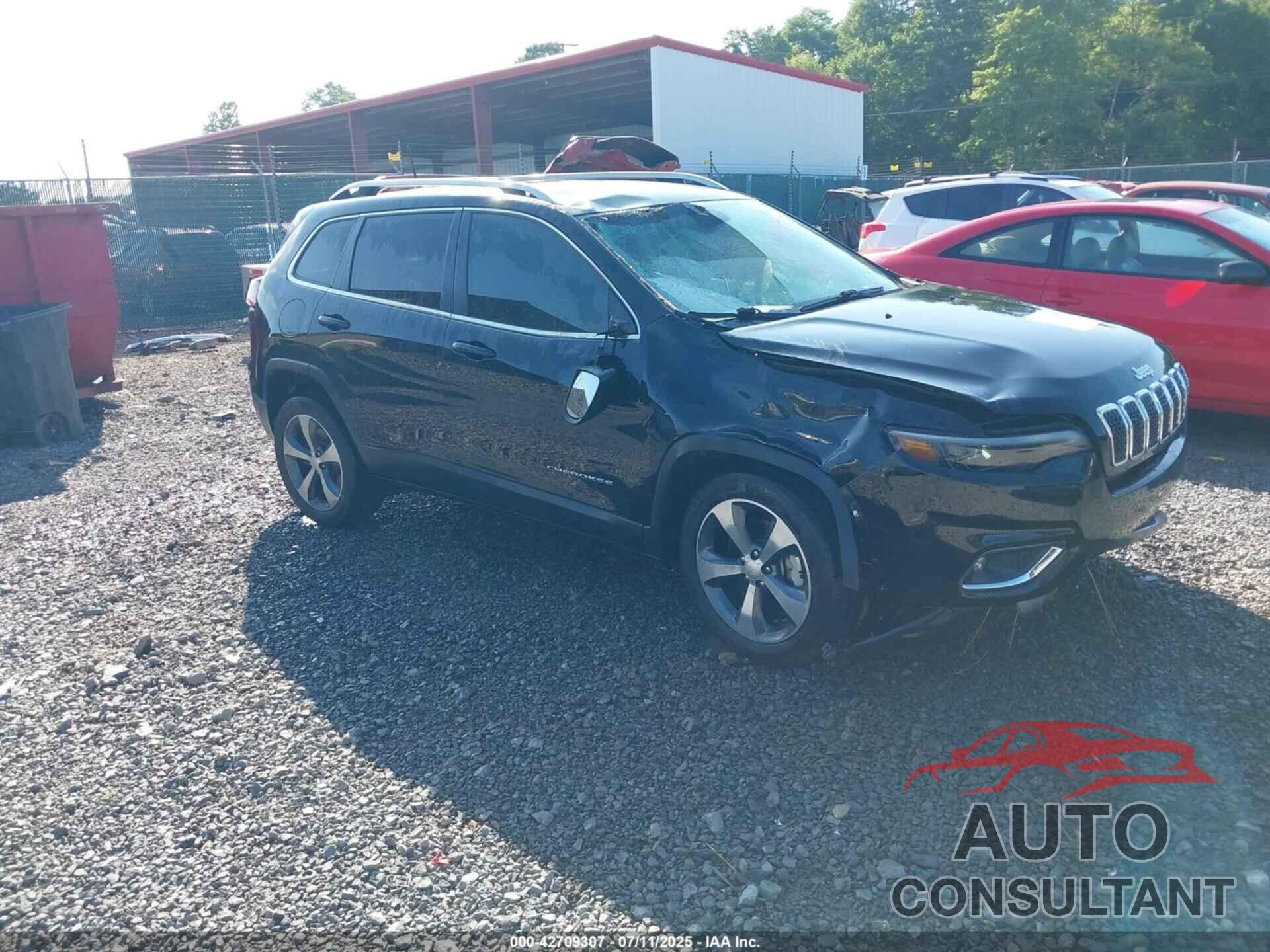 JEEP CHEROKEE 2019 - 1C4PJLDX9KD429184