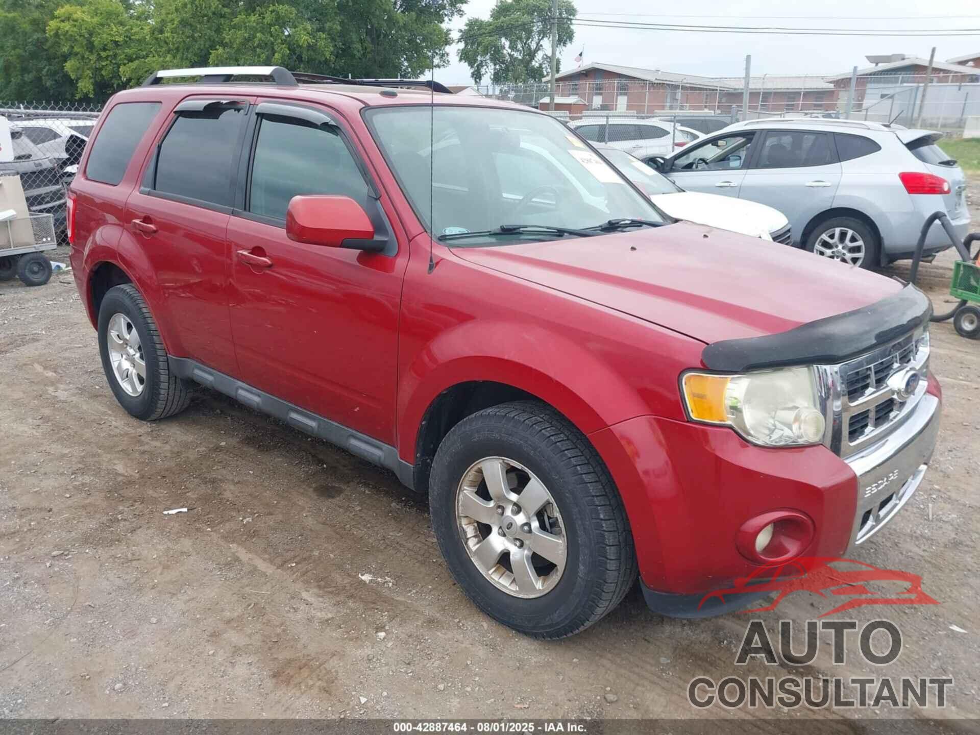 FORD ESCAPE 2011 - 1FMCU0EG0BKB84981
