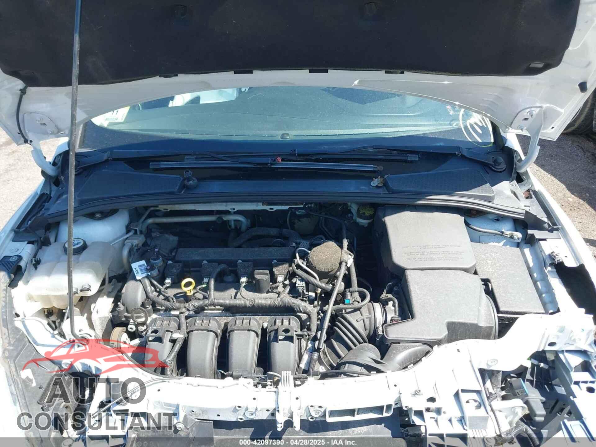 FORD FOCUS 2016 - 1FADP3F21GL273440