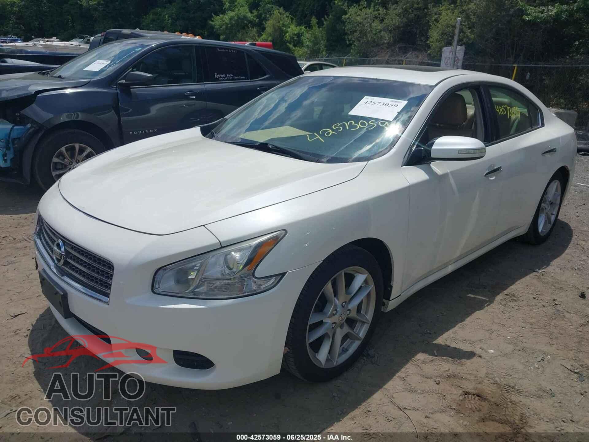 NISSAN MAXIMA 2009 - 1N4AA51E69C815958