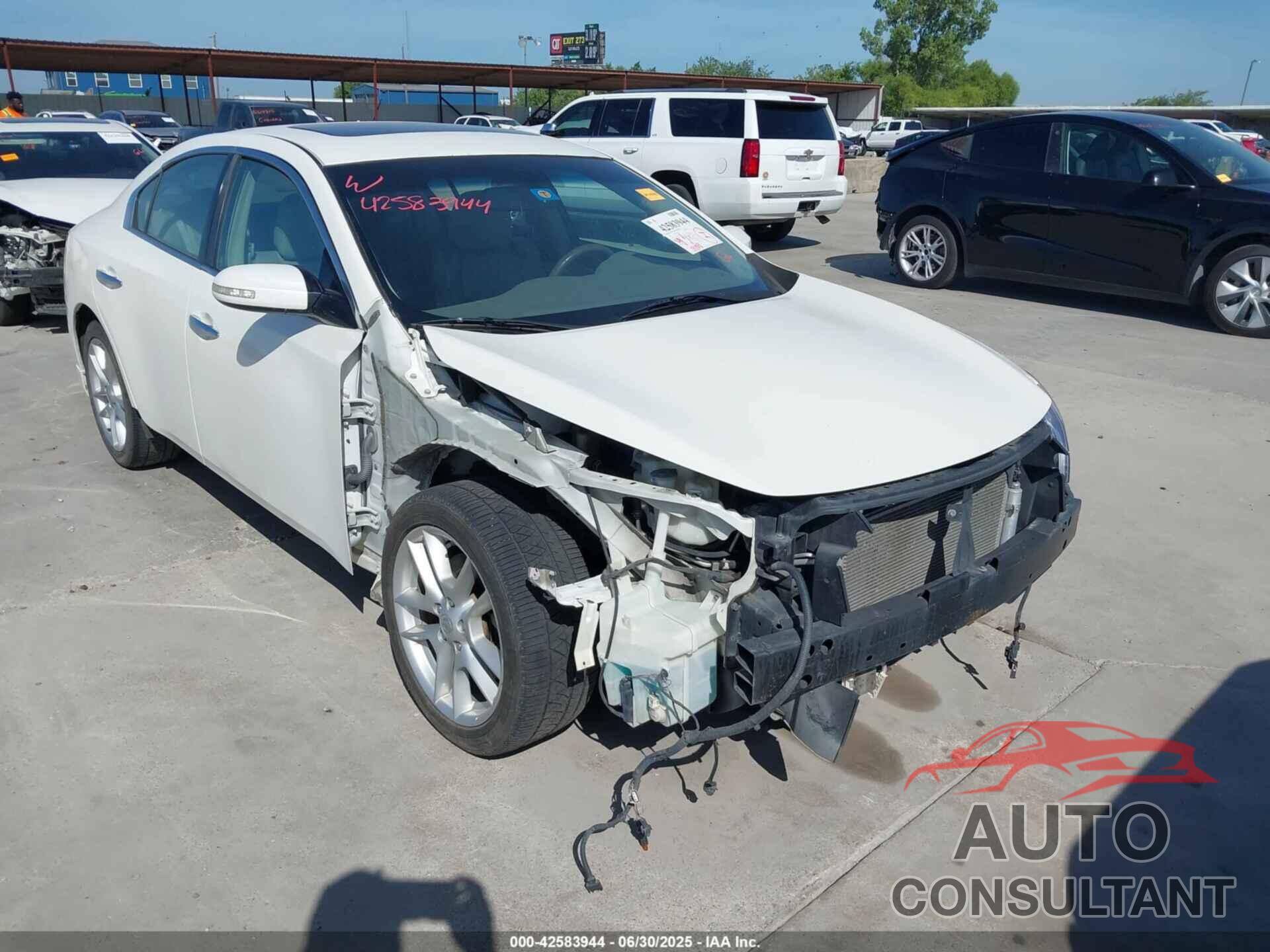 NISSAN MAXIMA 2009 - 1N4AA51E99C801374