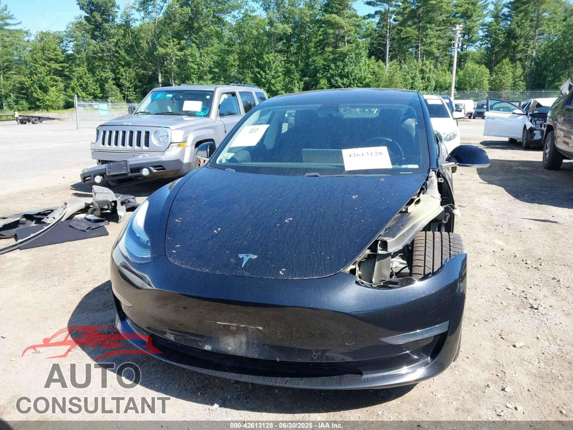 TESLA MODEL 3 2019 - 5YJ3E1EB3KF197023