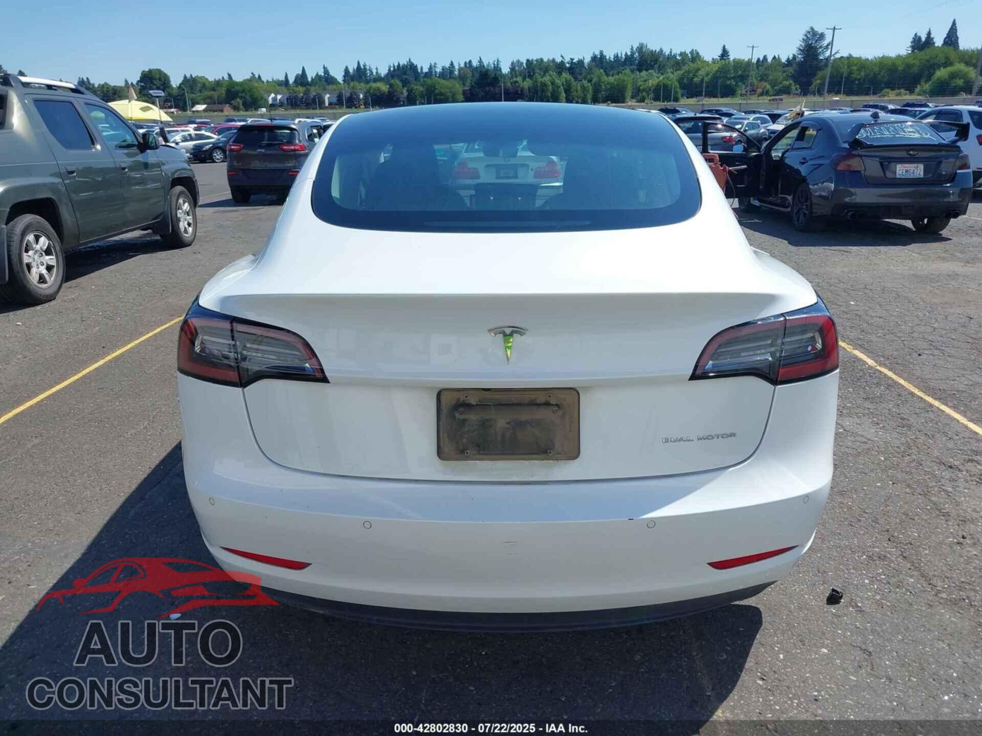 TESLA MODEL 3 2021 - 5YJ3E1EB3MF855412