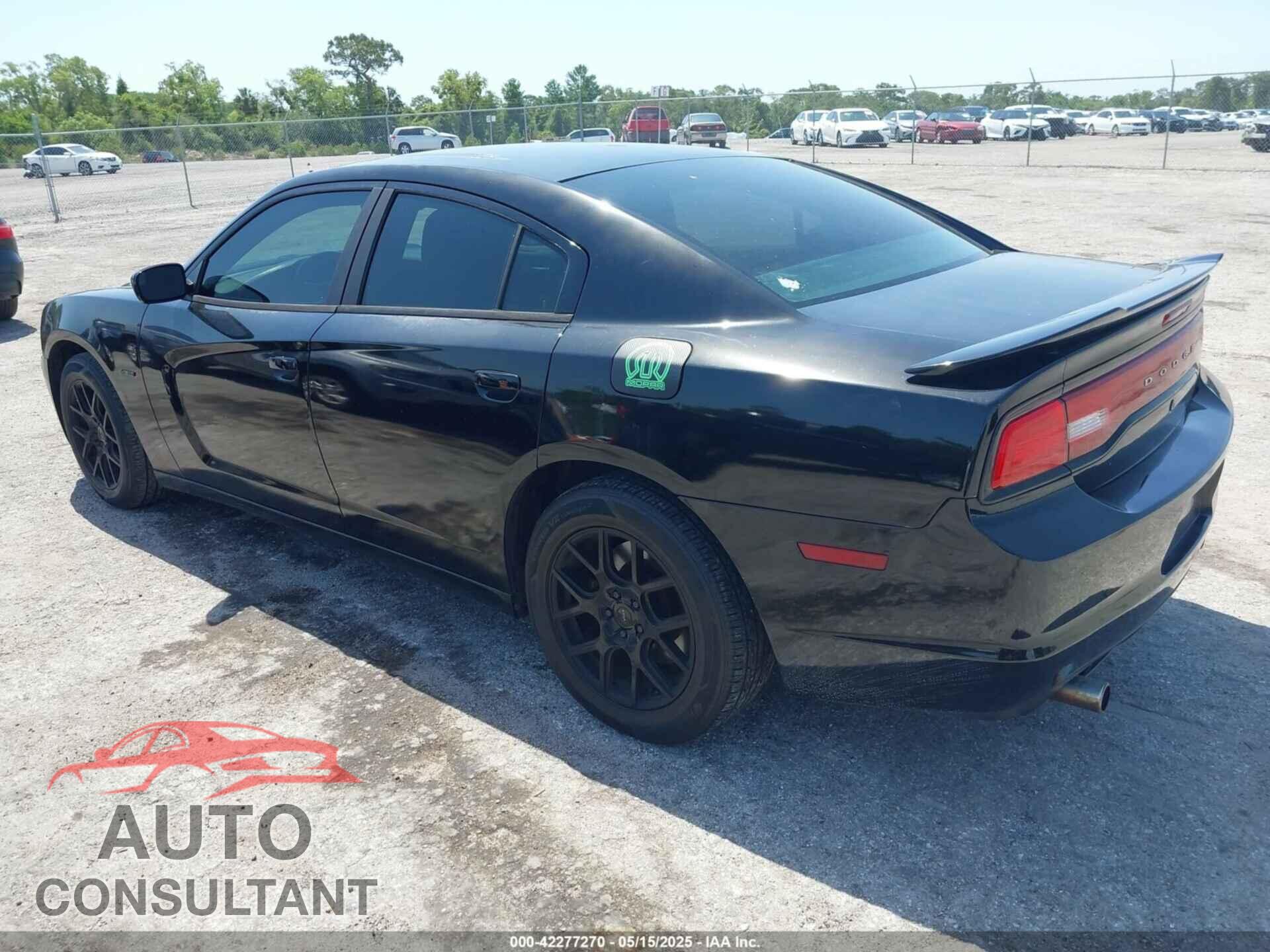 DODGE CHARGER 2013 - 2C3CDXAT1DH716317