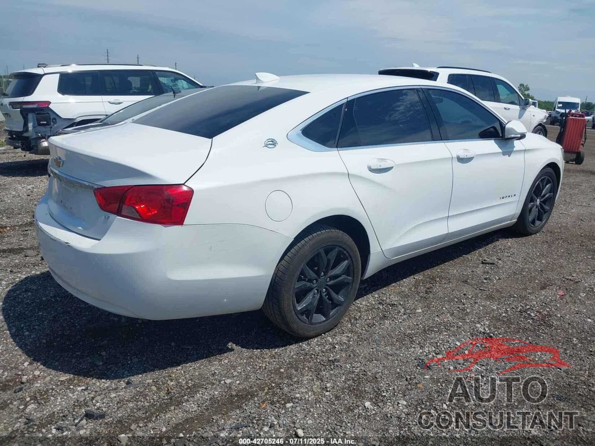 CHEVROLET IMPALA 2019 - 2G11Z5S35K9128914