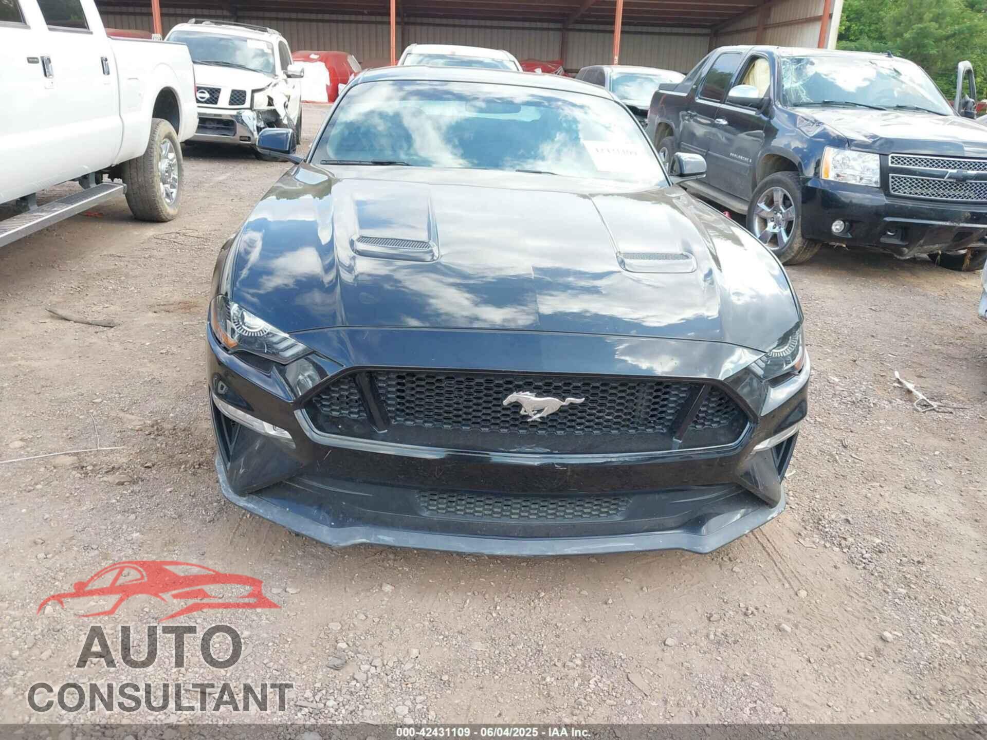 FORD MUSTANG 2019 - 1FA6P8CF3K5176296