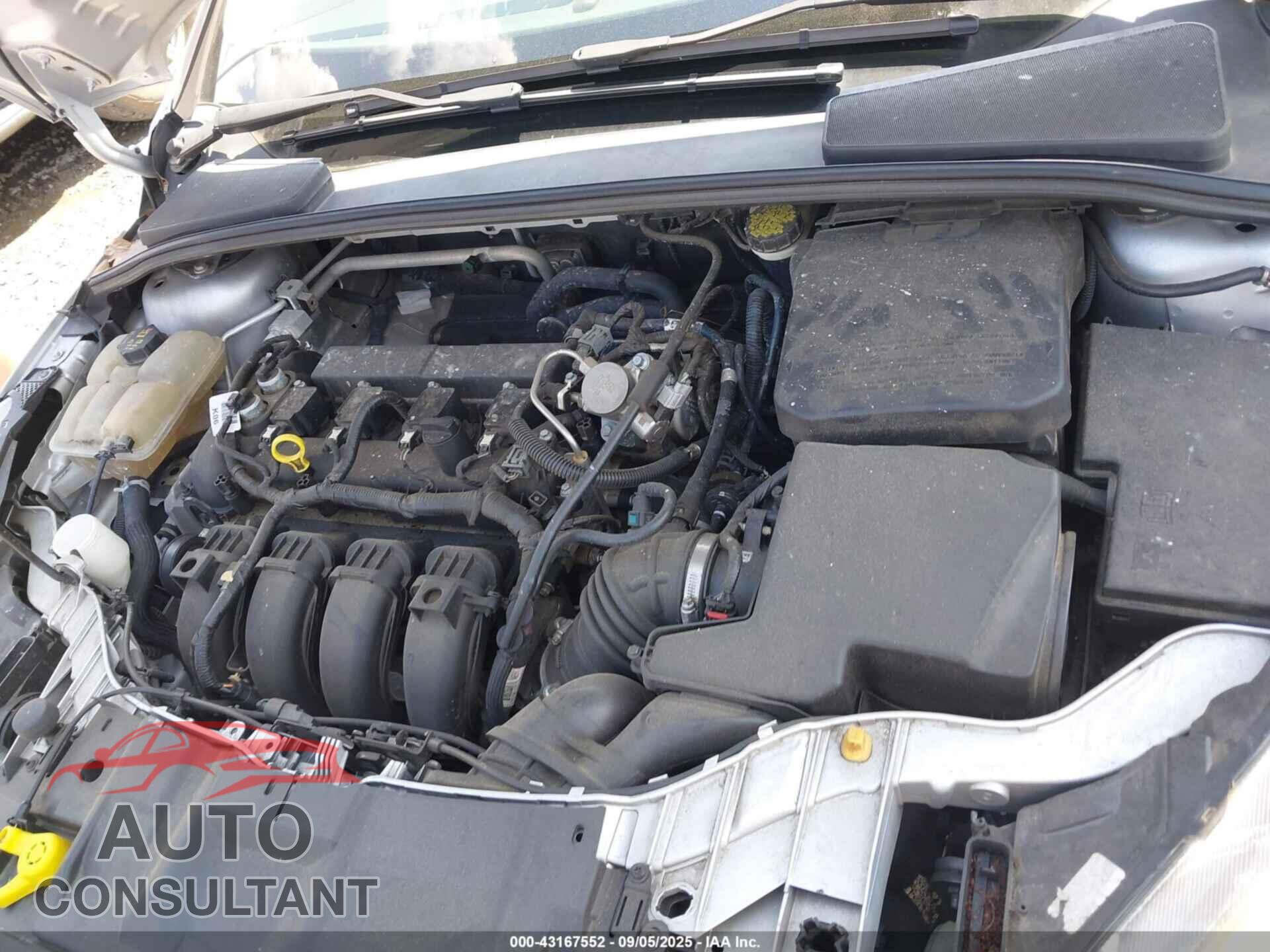 FORD FOCUS 2016 - 1FADP3F29GL323842