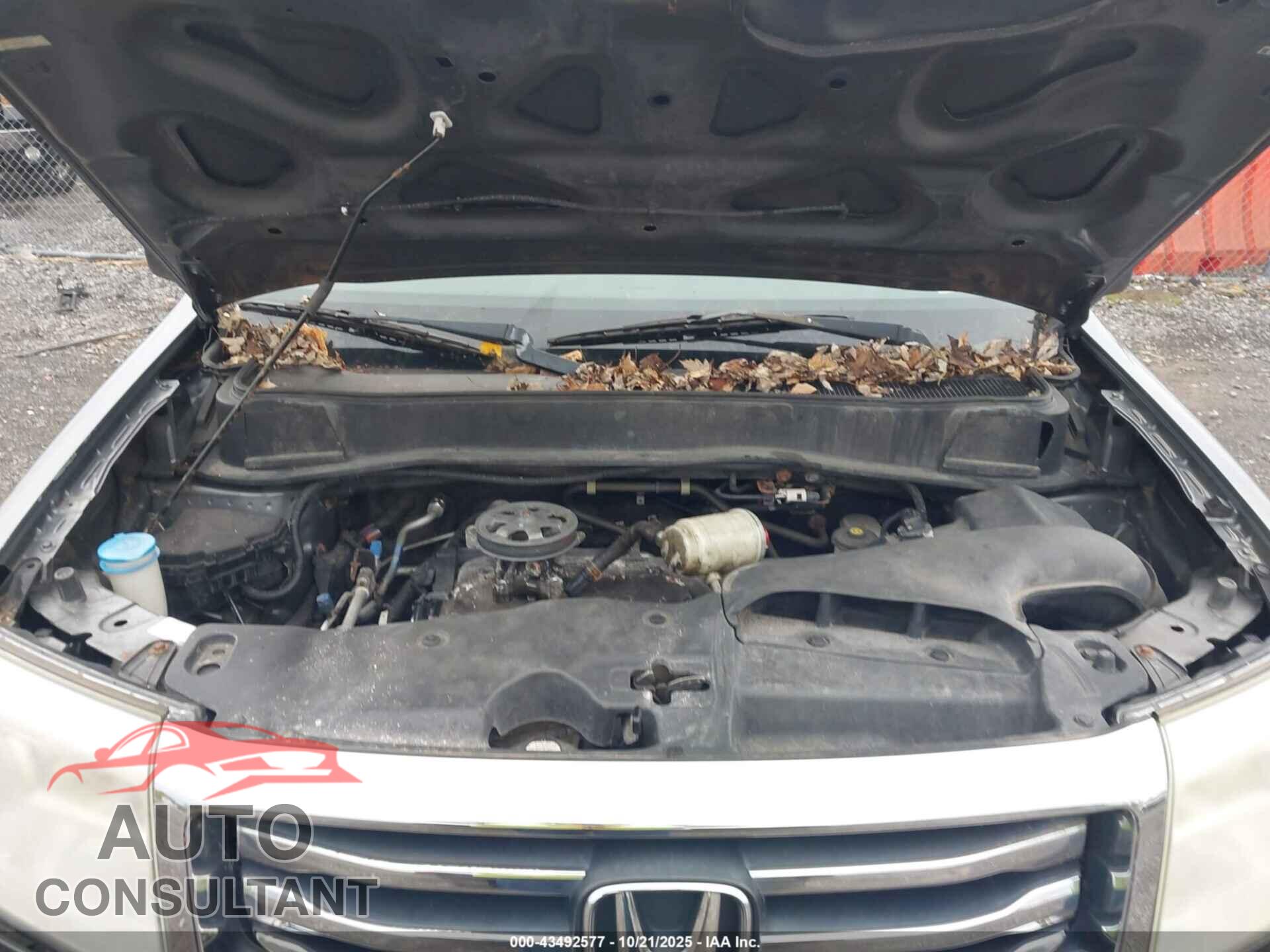 HONDA PILOT 2013 - 5FNYF4H56DB077391
