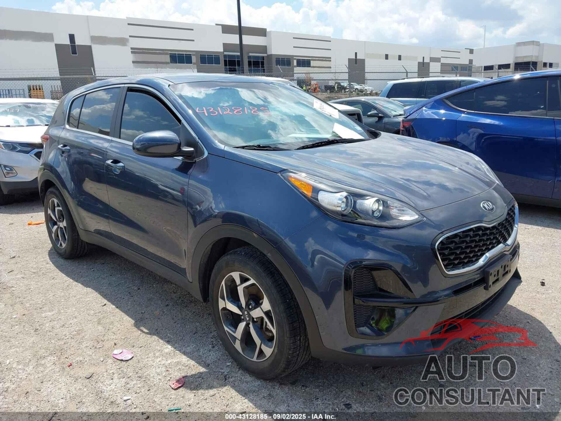 KIA SPORTAGE 2022 - KNDPM3AC6N7017607