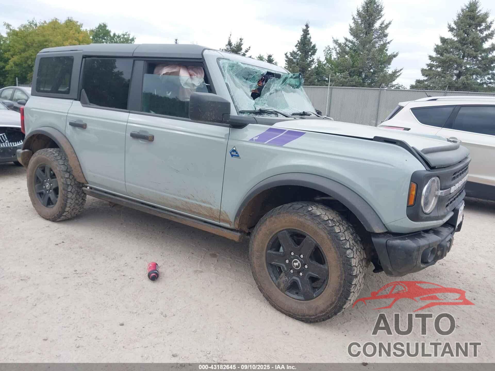FORD BRONCO 2024 - 1FMDE1BH8RLB30787