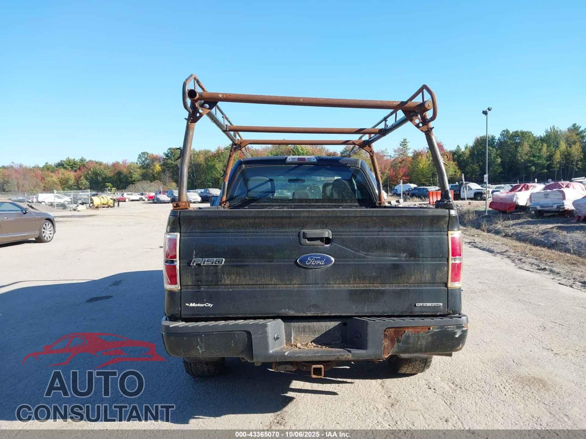 FORD F-150 2013 - 1FTEX1EM1DFD44202