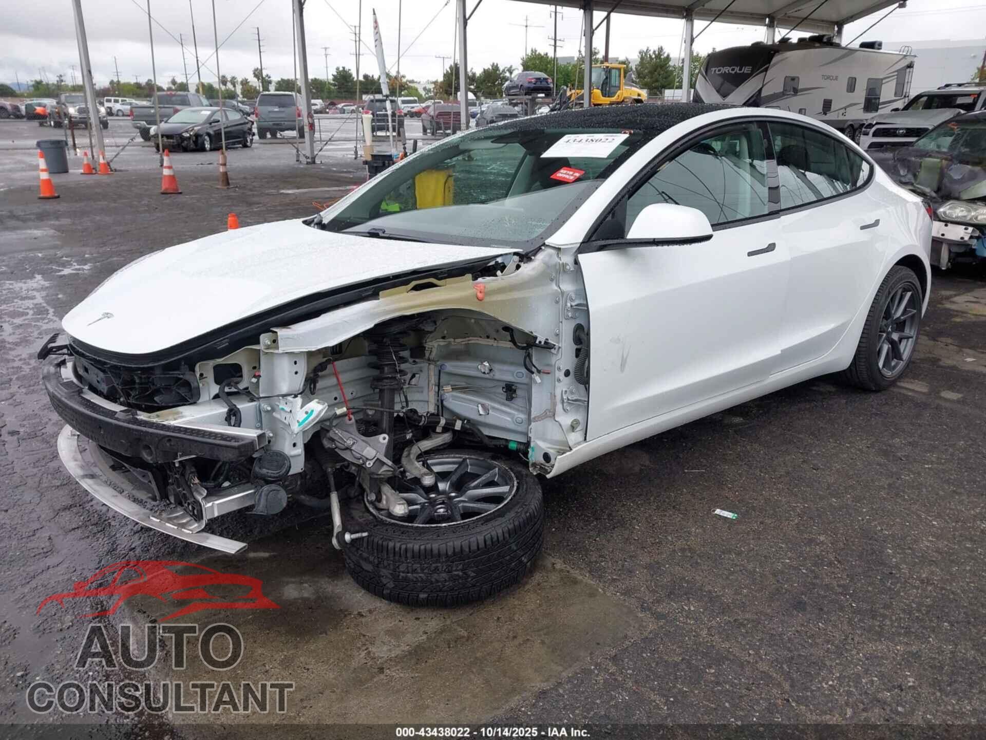 TESLA MODEL 3 2021 - 5YJ3E1EA3MF982541