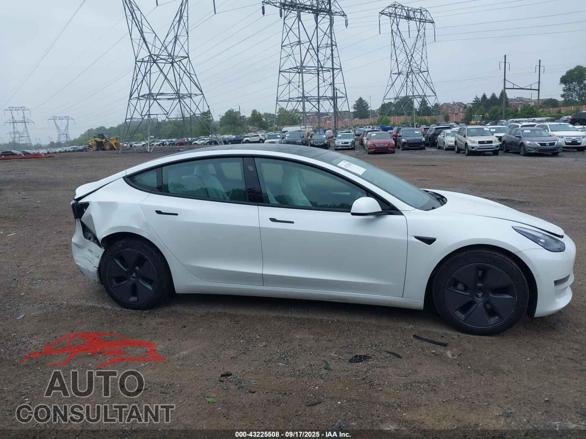 TESLA MODEL 3 2021 - 5YJ3E1EA2MF989576