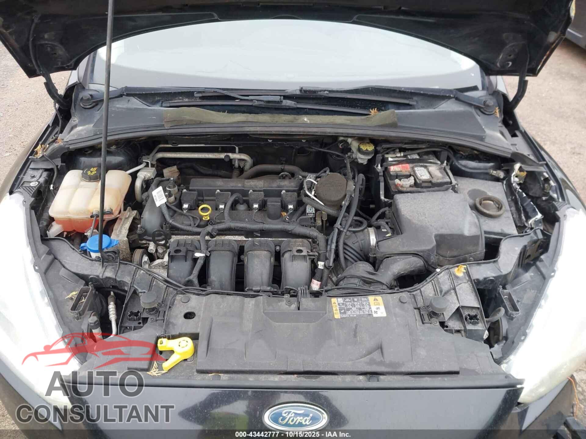 FORD FOCUS 2016 - 1FADP3J24GL260169