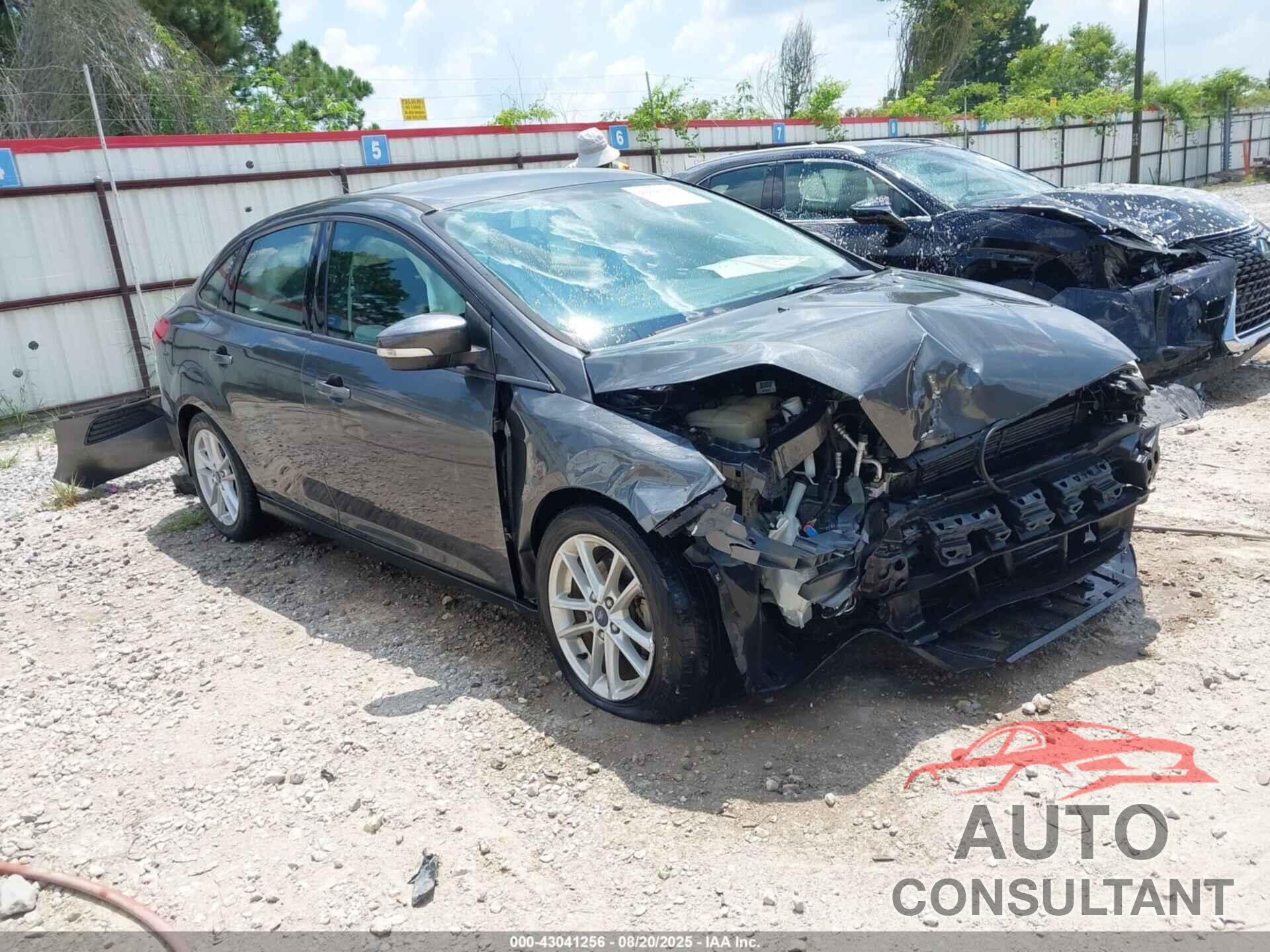 FORD FOCUS 2016 - 1FADP3F20GL381807