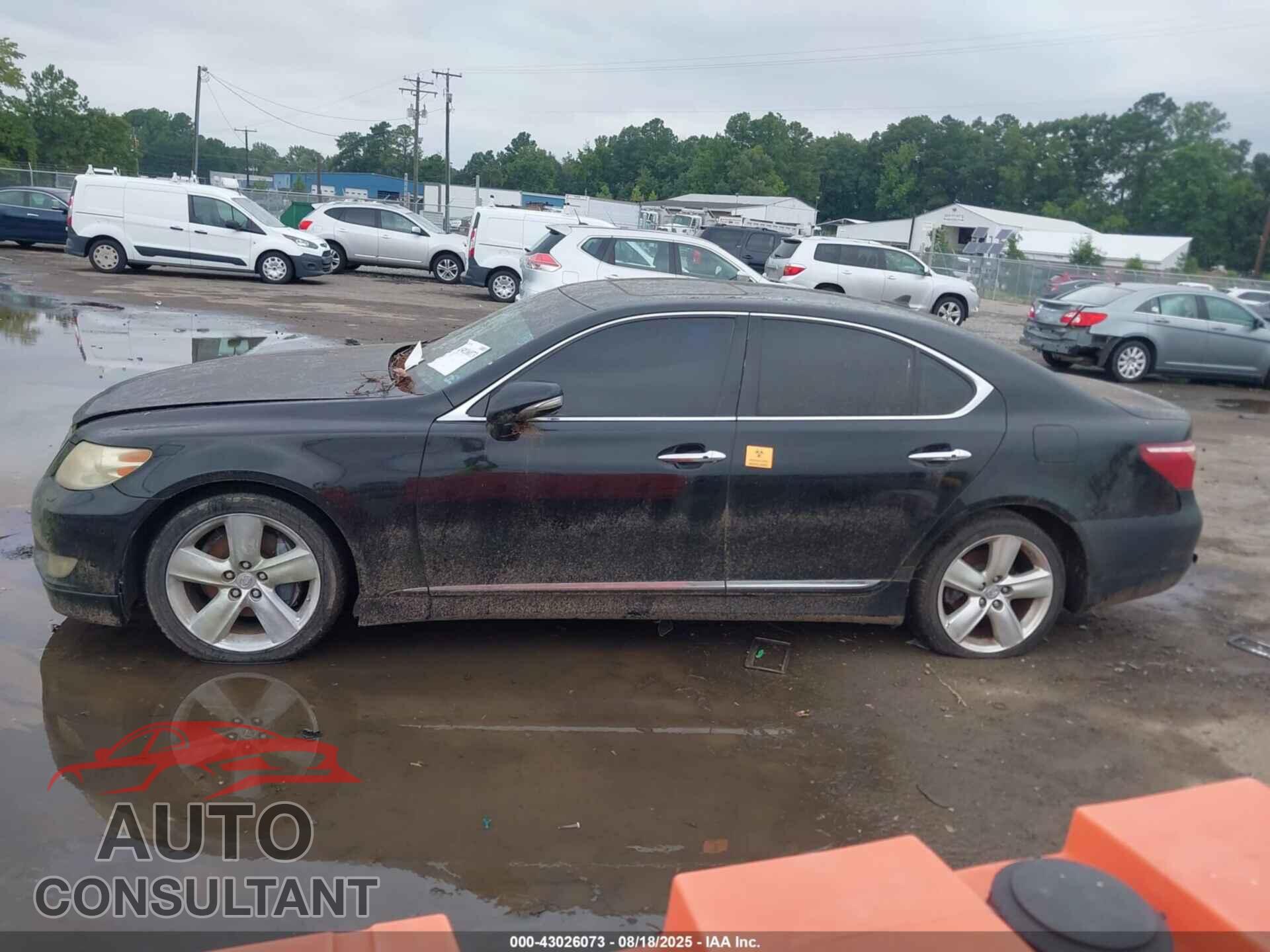 LEXUS LS 460 2010 - JTHBL5EF6A5097363