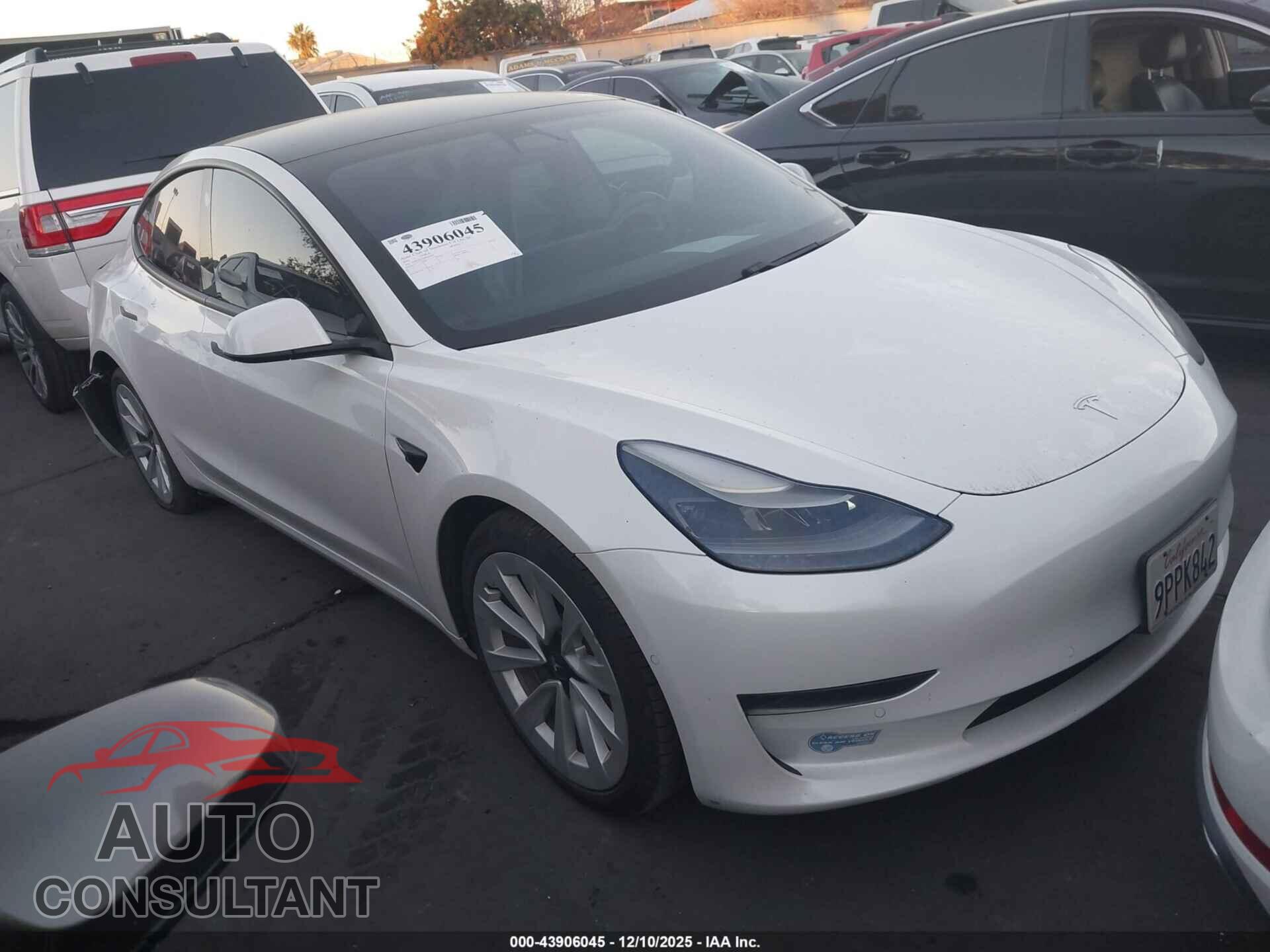 TESLA MODEL 3 2021 - 5YJ3E1EA1MF065954