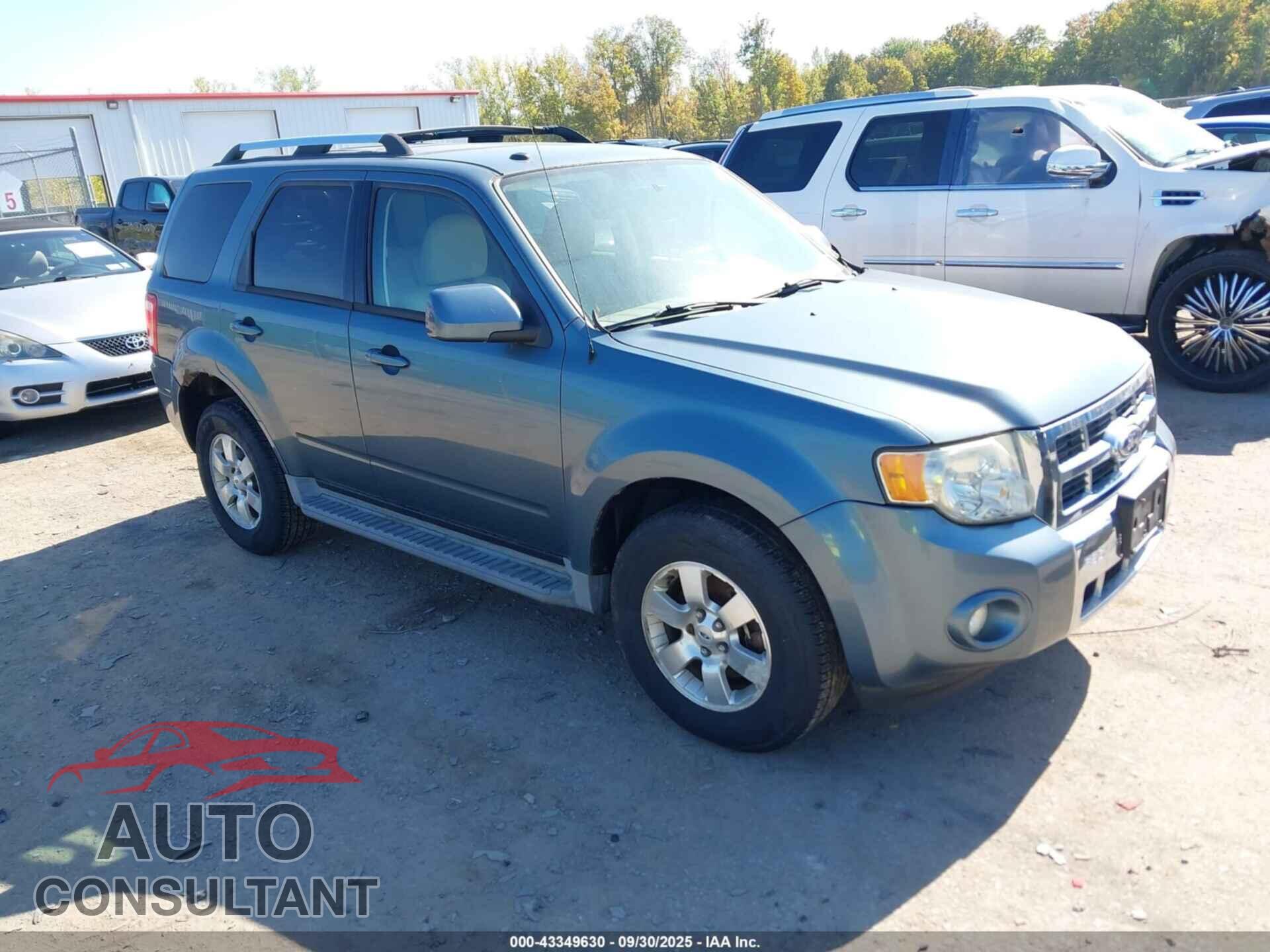 FORD ESCAPE 2010 - 1FMCU9E75AKC87669