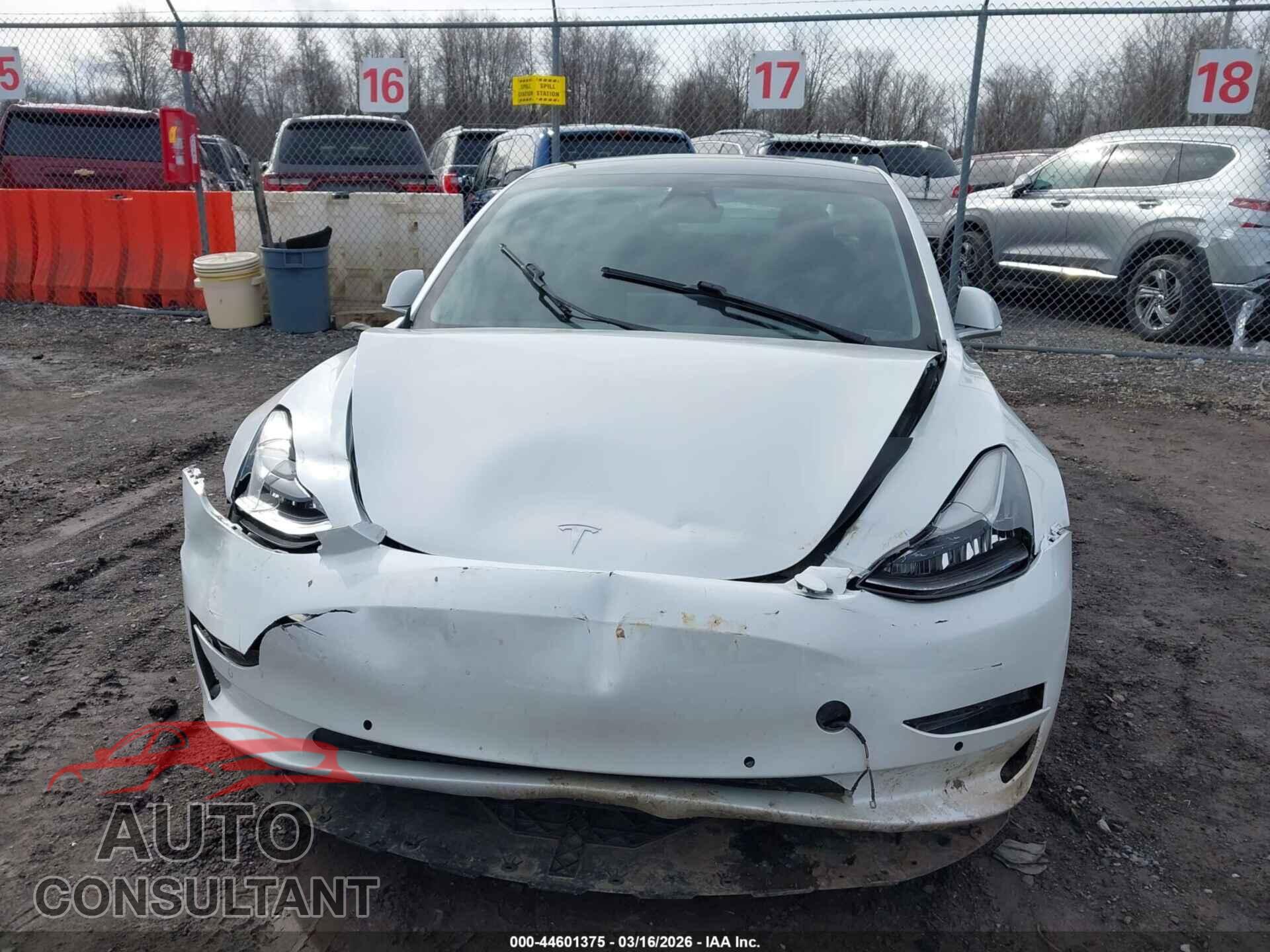 TESLA MODEL 3 2020 - 5YJ3E1EB7LF665434