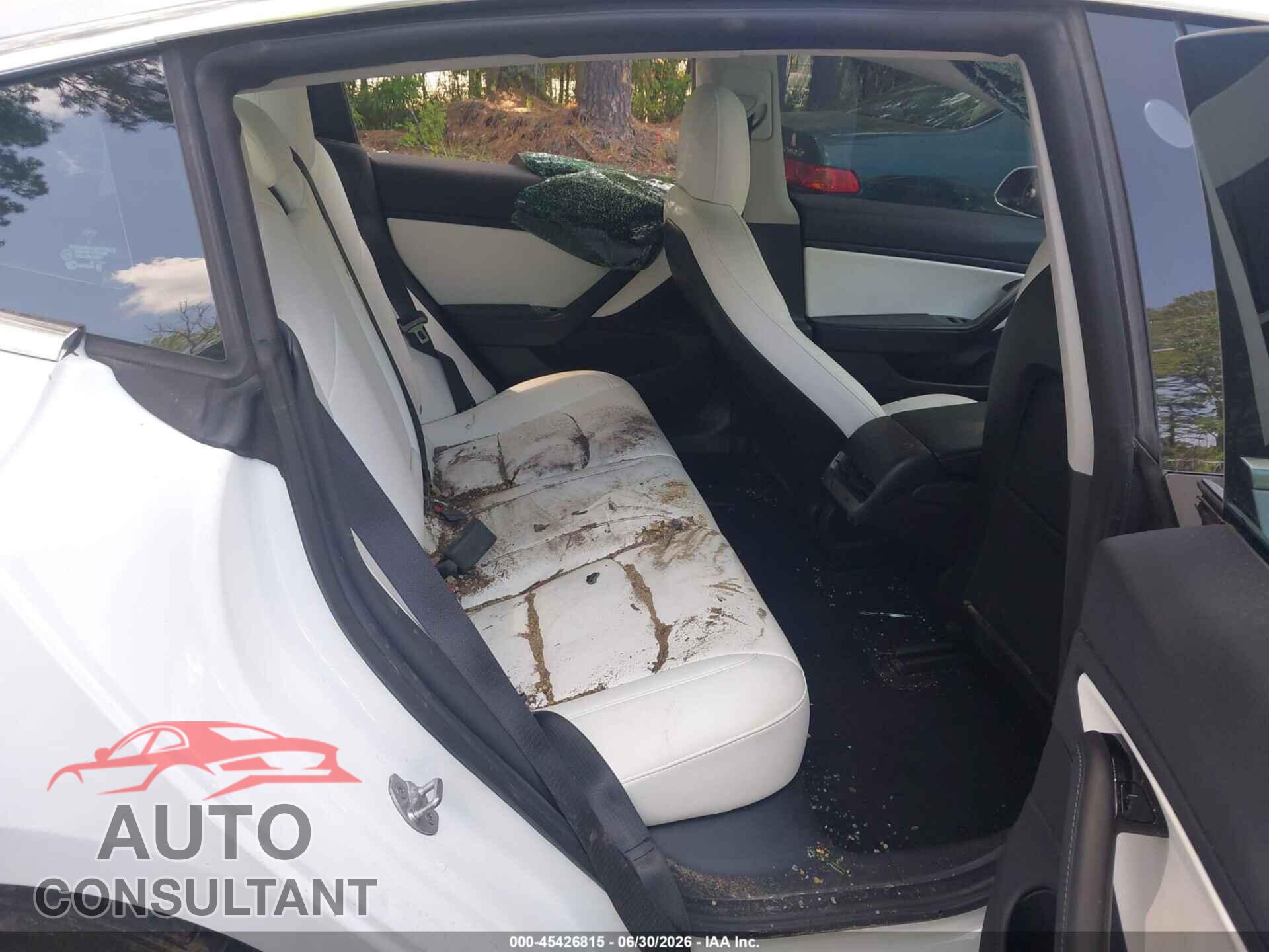 TESLA MODEL 3 2019 - 5YJ3E1EA0KF445073