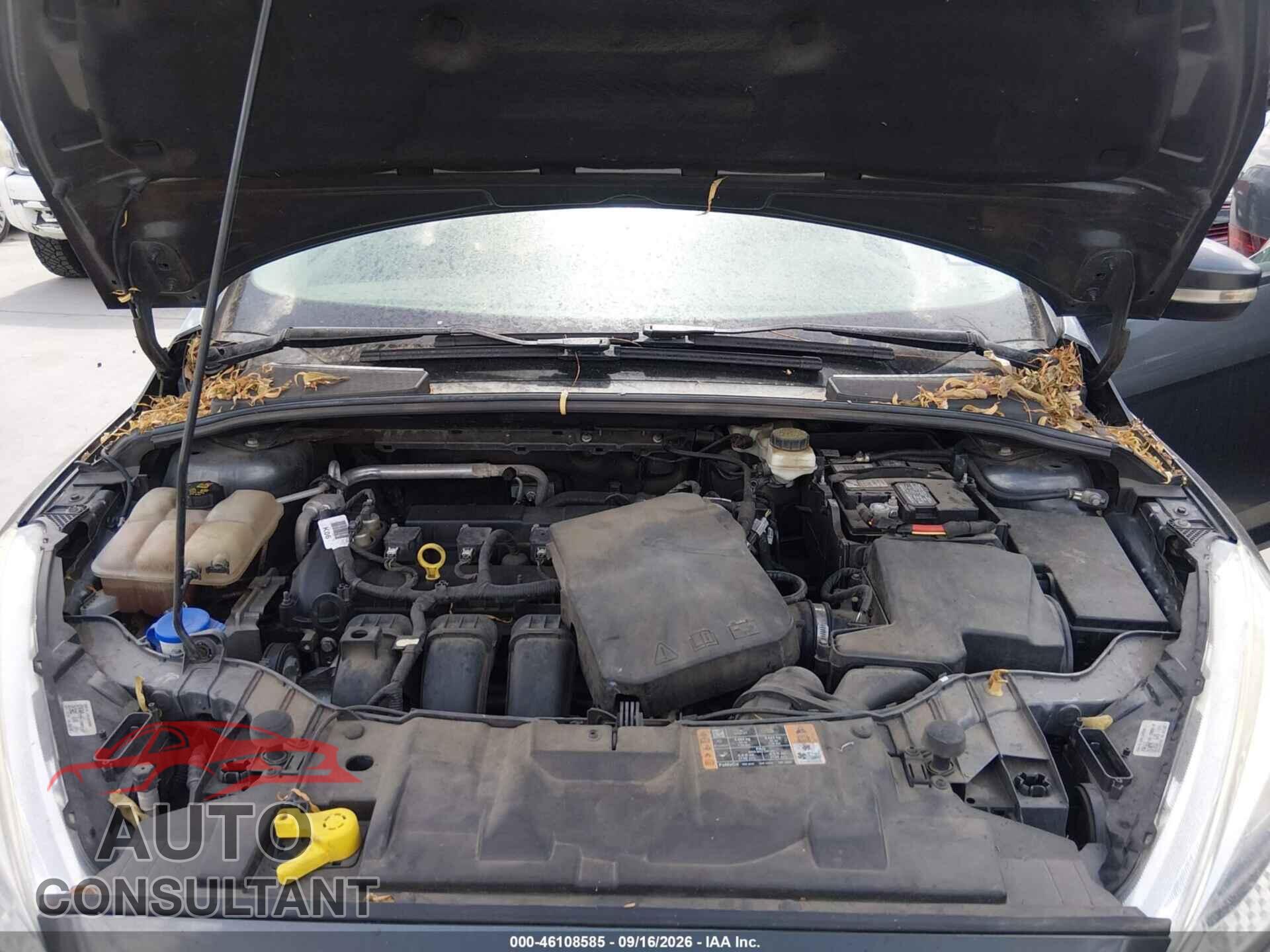 FORD FOCUS 2017 - 1FADP3F21HL229794