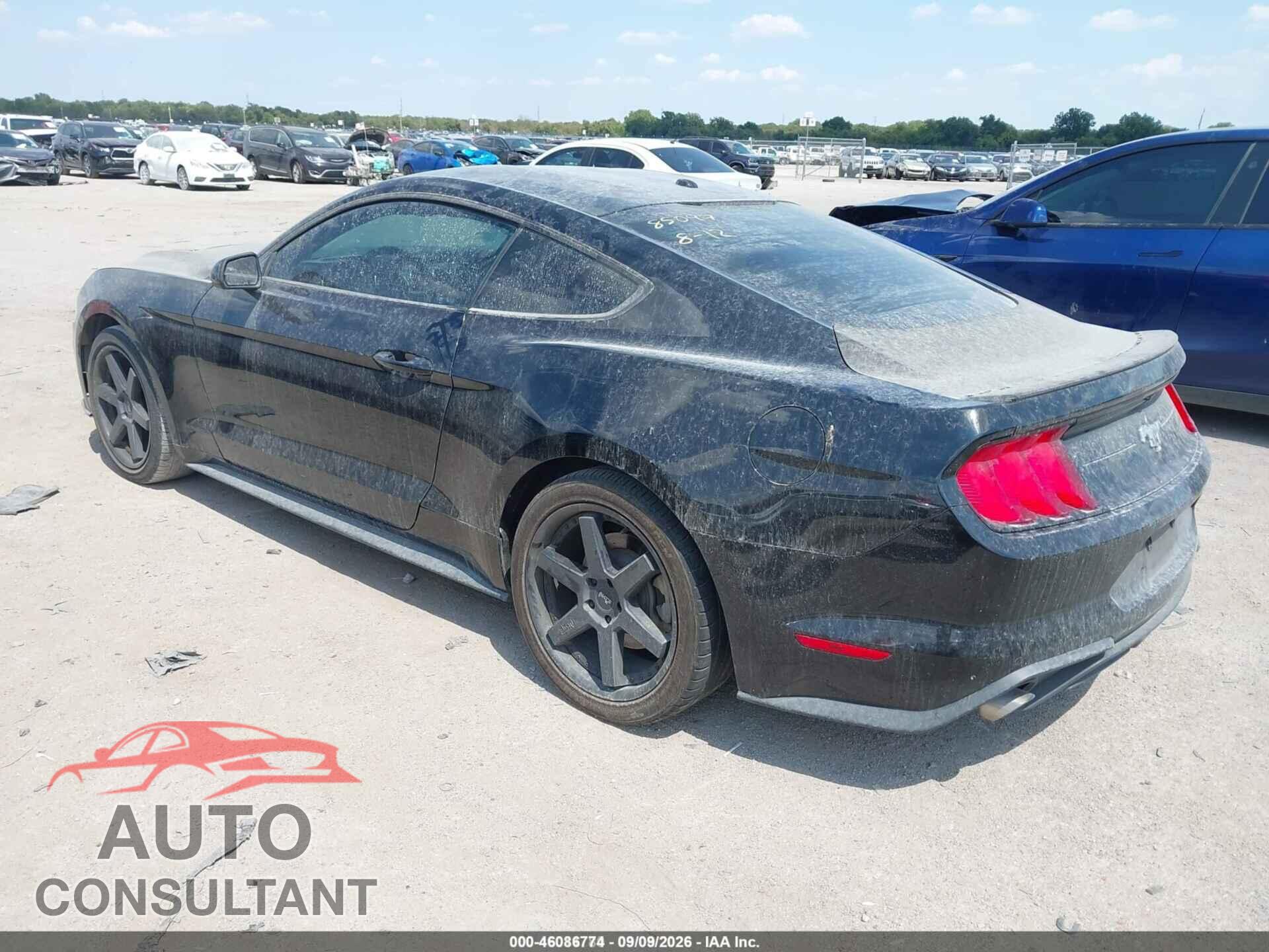 FORD MUSTANG 2019 - 1FA6P8TH5K5118059