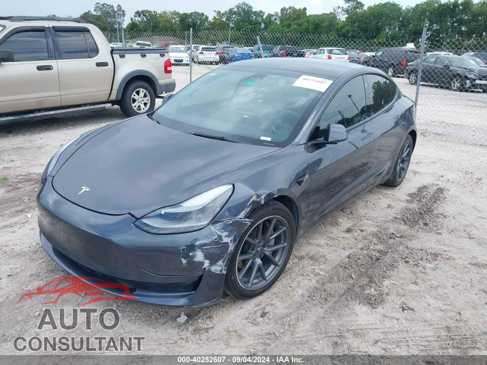 TESLA MODEL 3 2021 - 5YJ3E1EA7MF096304