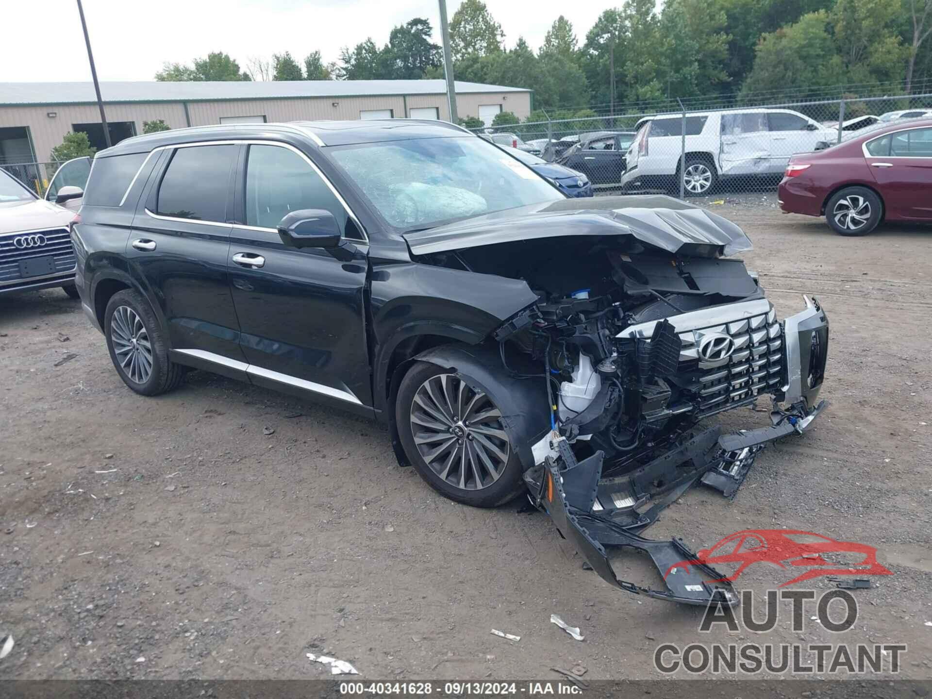 HYUNDAI PALISADE 2024 - KM8R7DGE7RU728346
