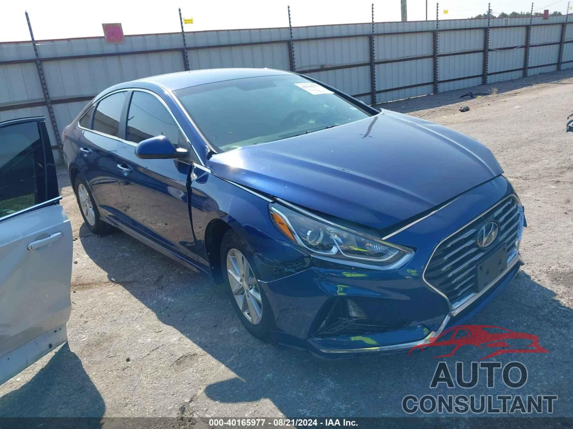 HYUNDAI SONATA 2019 - 5NPE24AF6KH740796