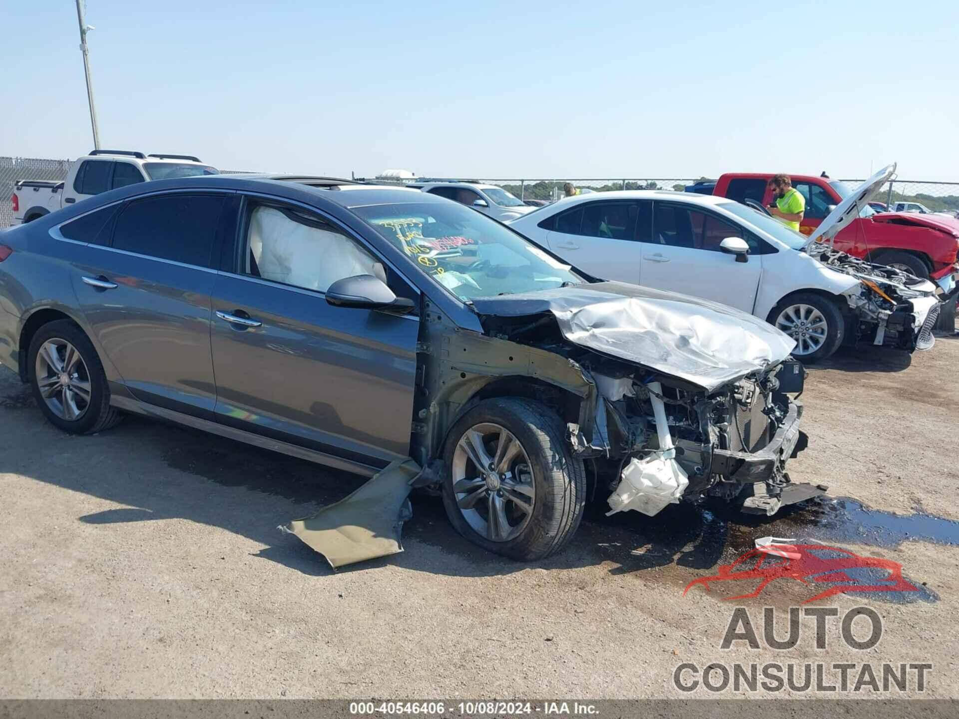 HYUNDAI SONATA 2019 - 5NPE34AF6KH811833