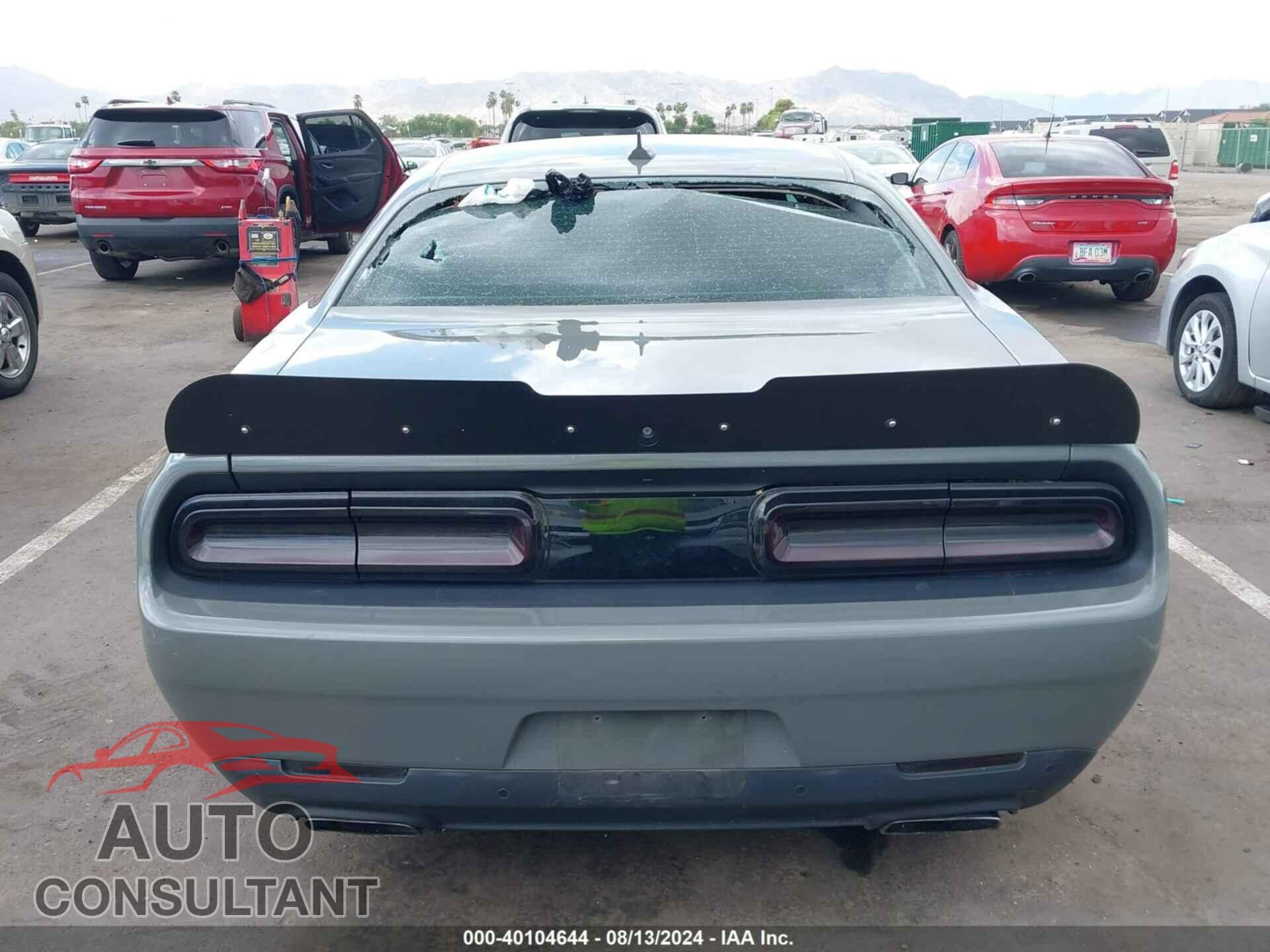 DODGE CHALLENGER 2019 - 2C3CDZFJ5KH595050
