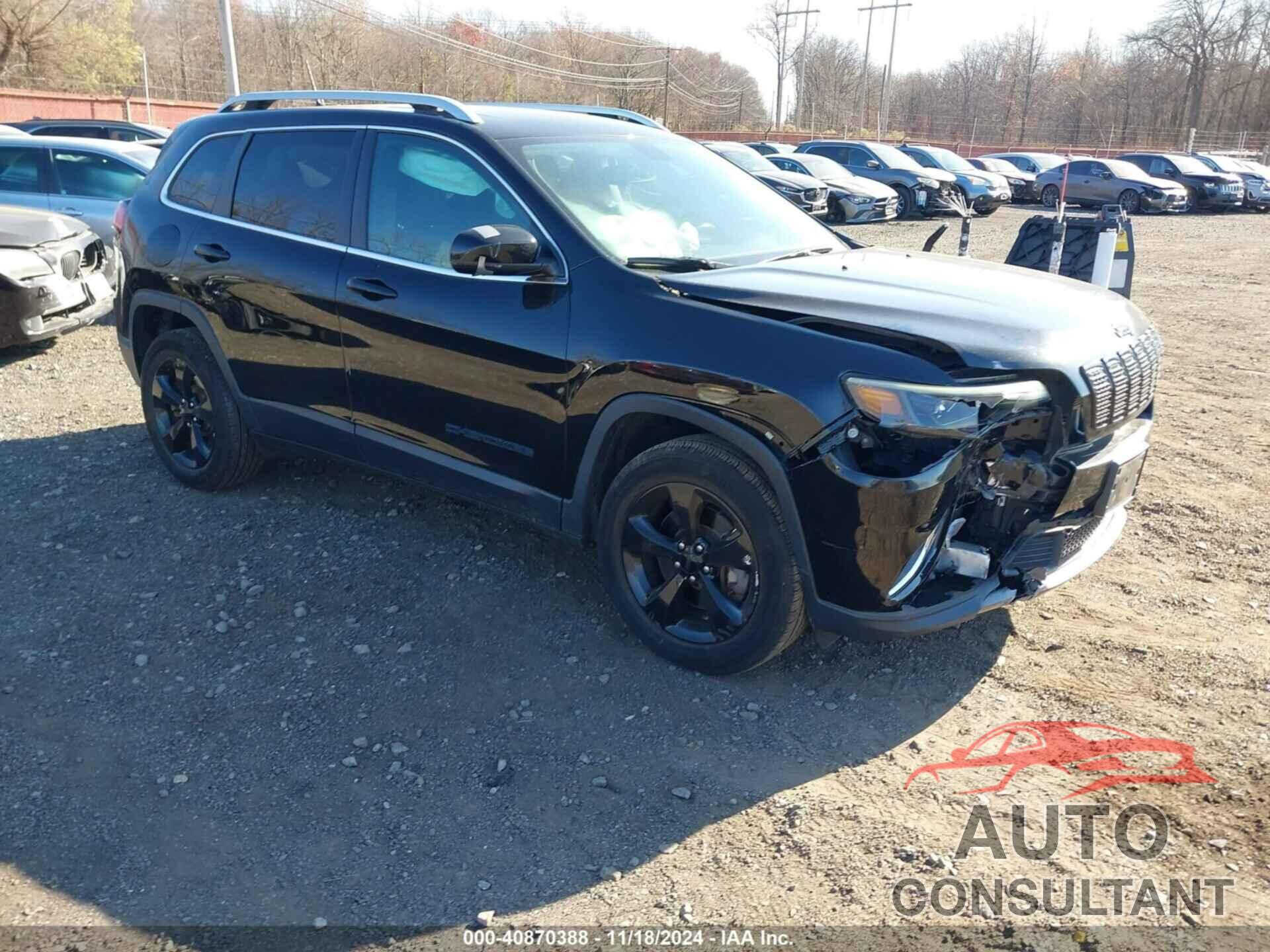 JEEP CHEROKEE 2019 - 1C4PJMDX3KD294225