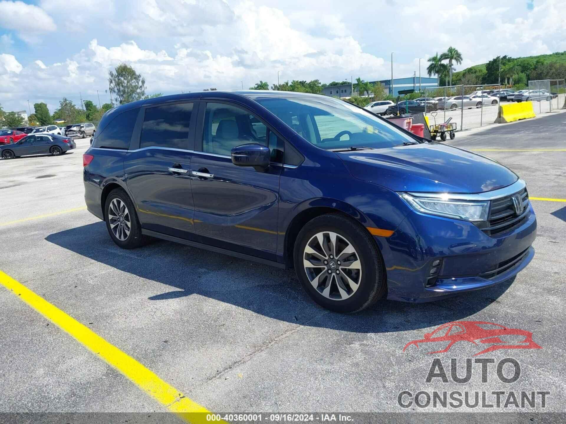 HONDA ODYSSEY 2022 - 5FNRL6H71NB034265