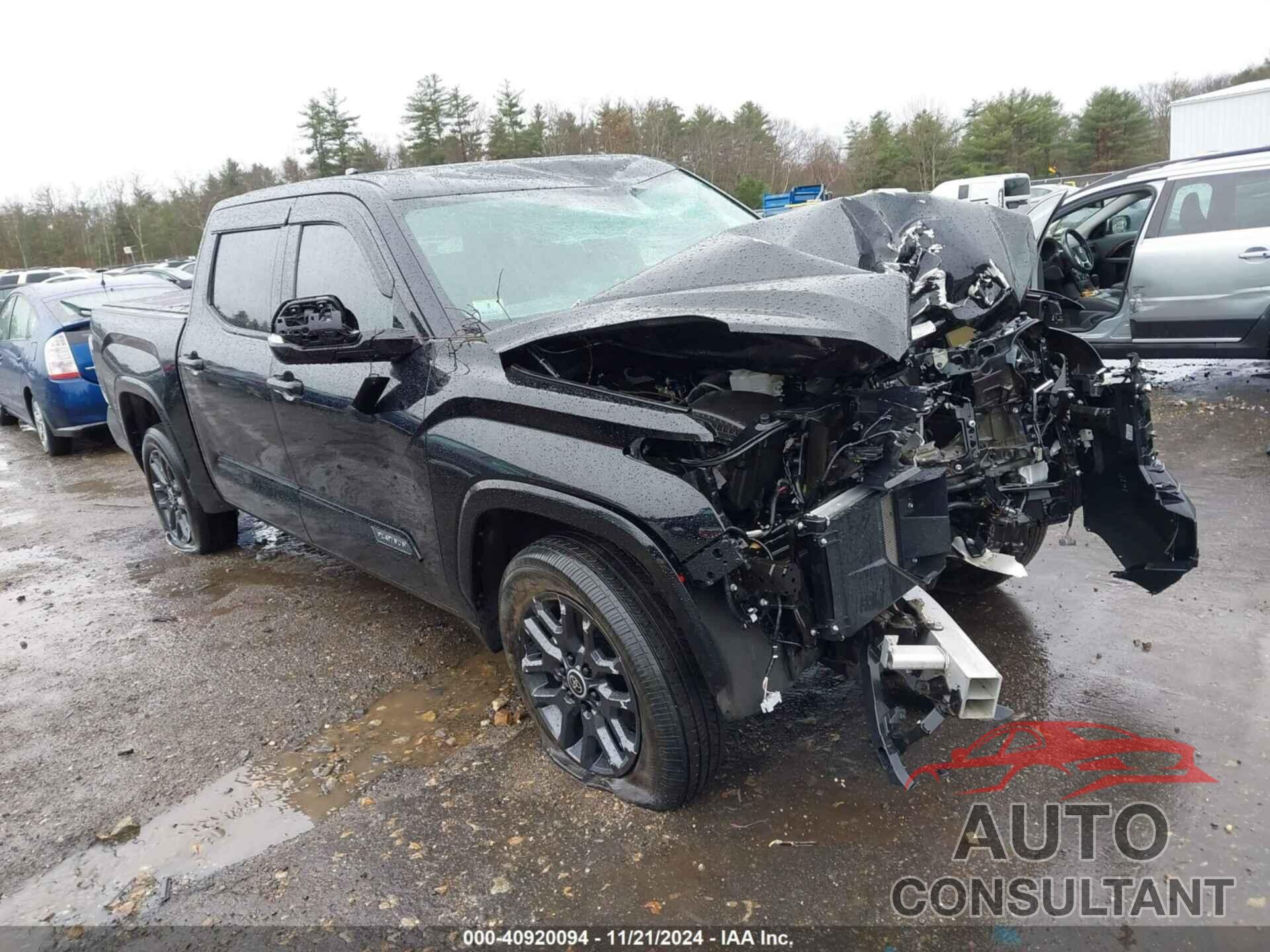TOYOTA TUNDRA 2024 - 5TFNA5DB7RX154060