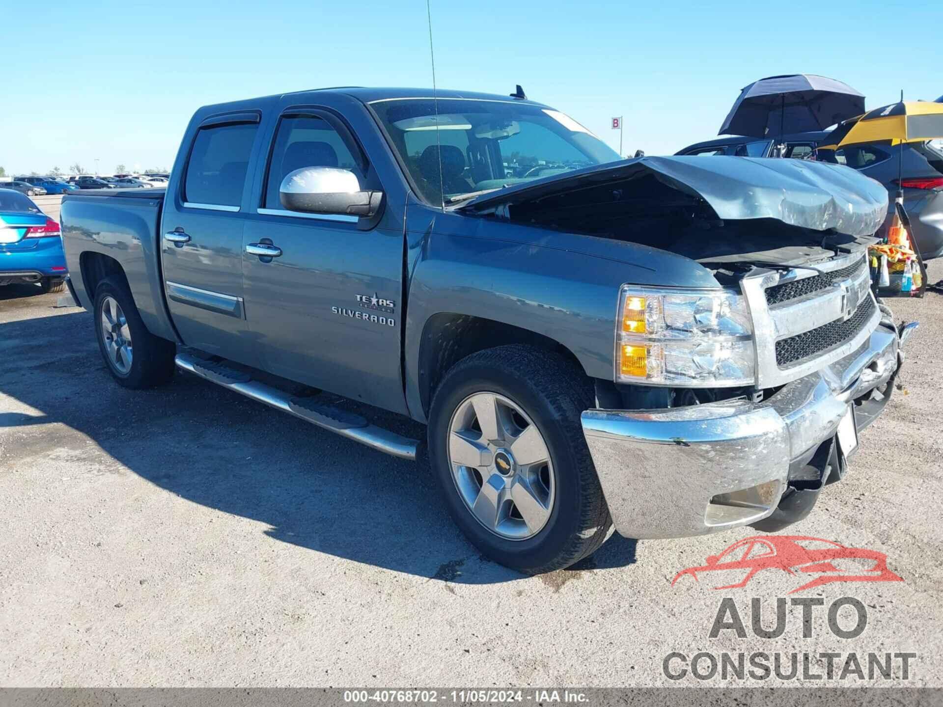 CHEVROLET SILVERADO 1500 2010 - 3GCRCSE09AG210175