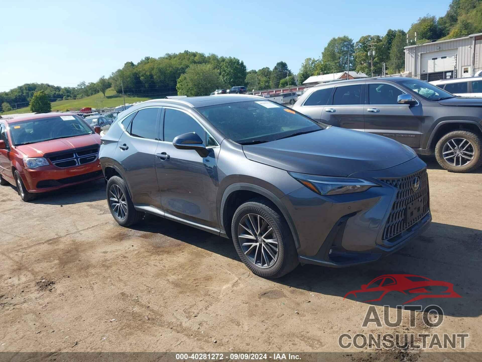 LEXUS NX 350 2022 - 2T2GGCEZ5NC006338